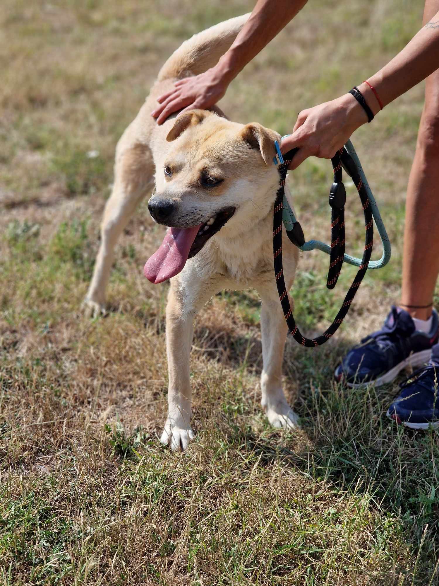 Aaron, Bild 11