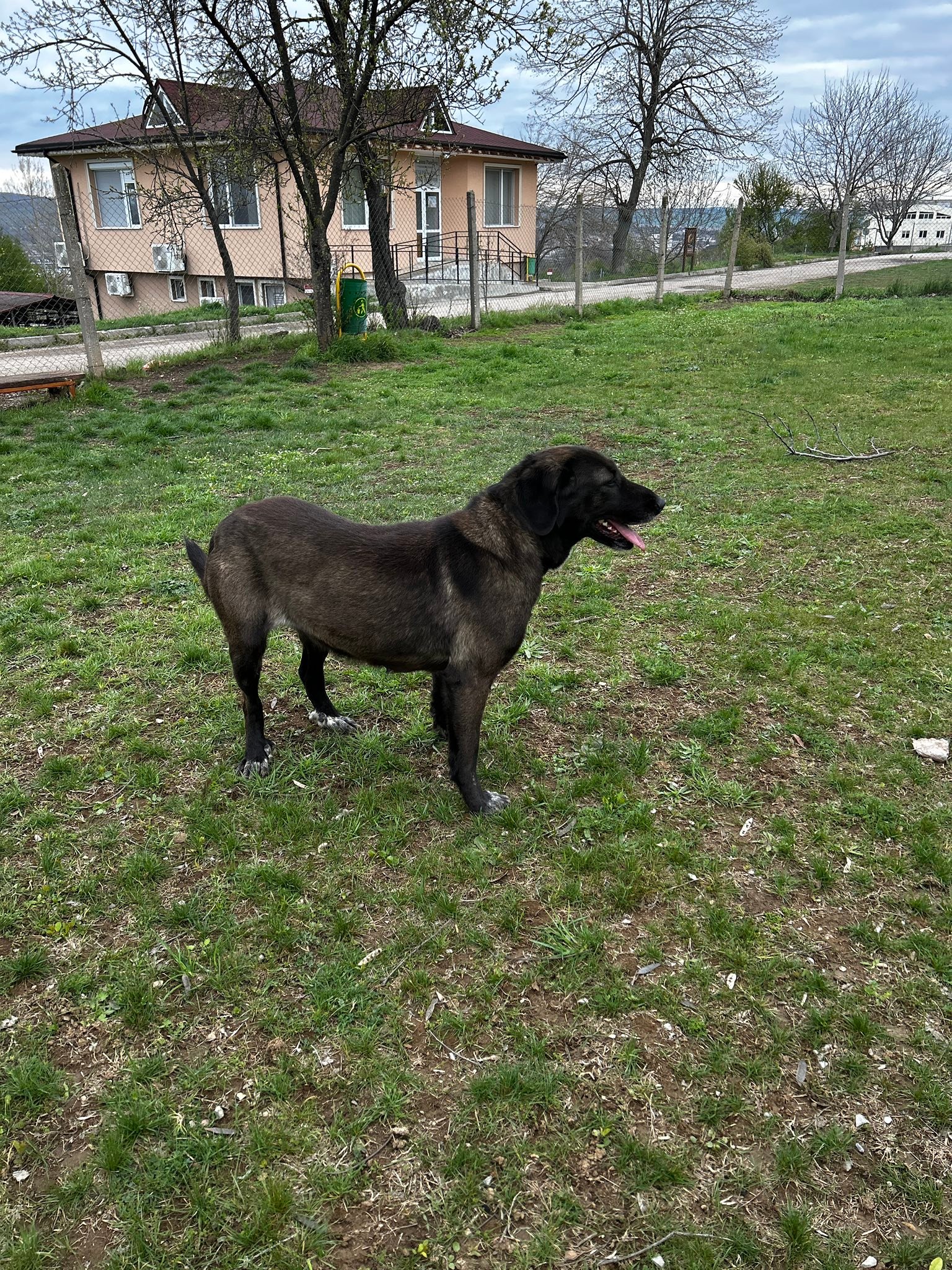Alma, Bild 6