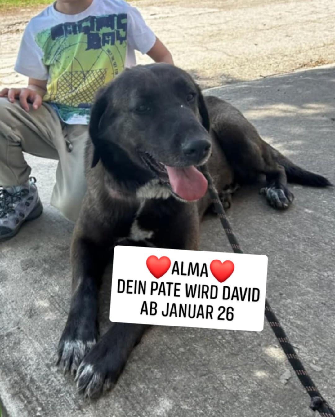 Alma, Bild 10