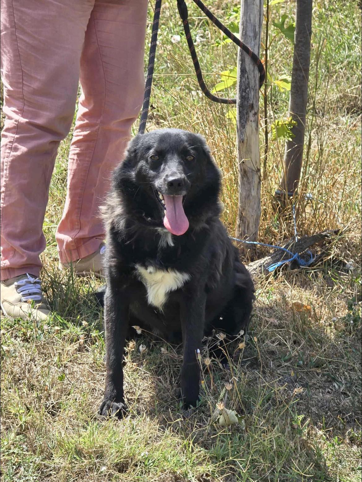 Ambra, Bild 22