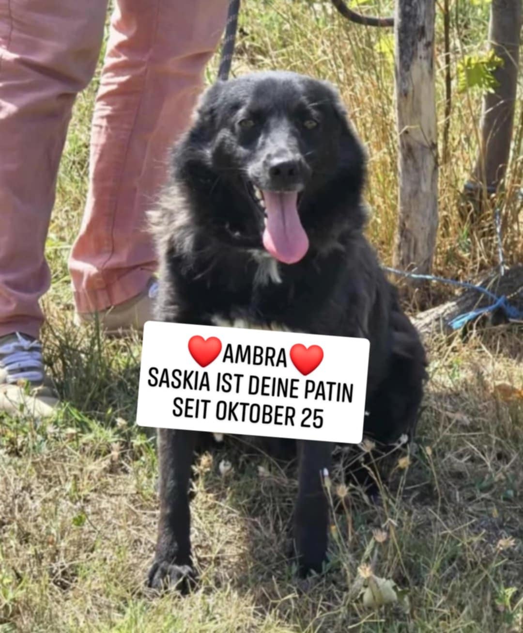 Ambra, Bild 25