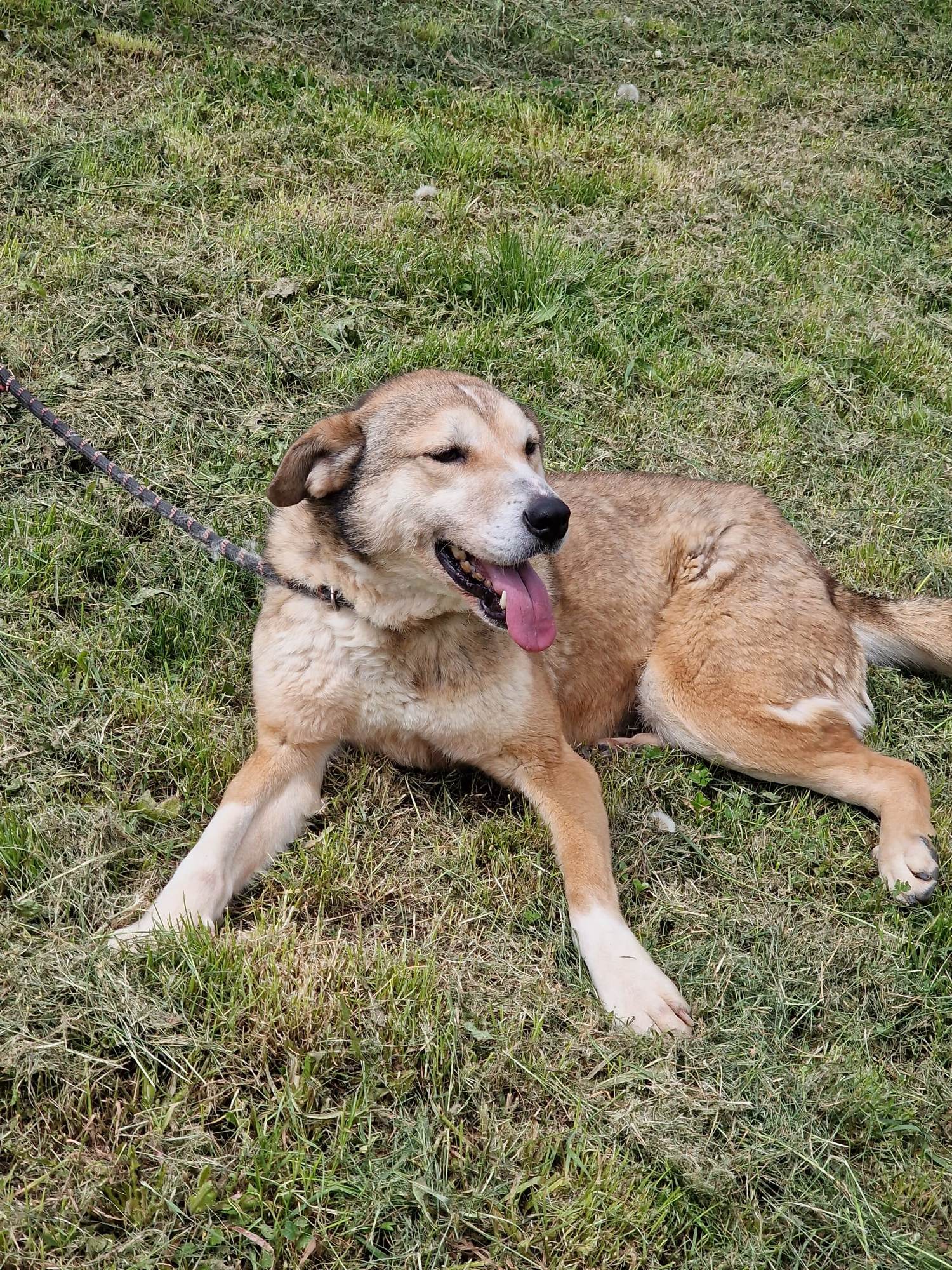 Anouk, Bild 18