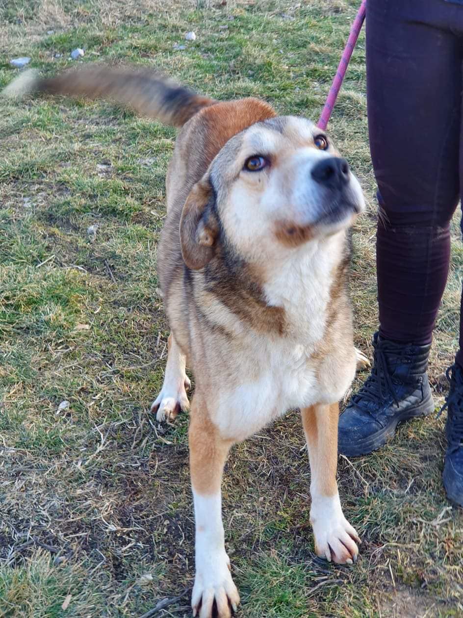 Anouk, Bild 4