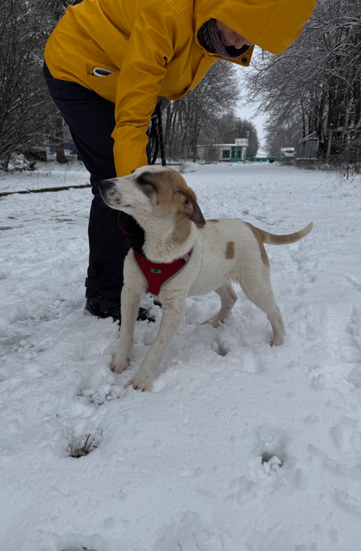 Artie, Bild 14