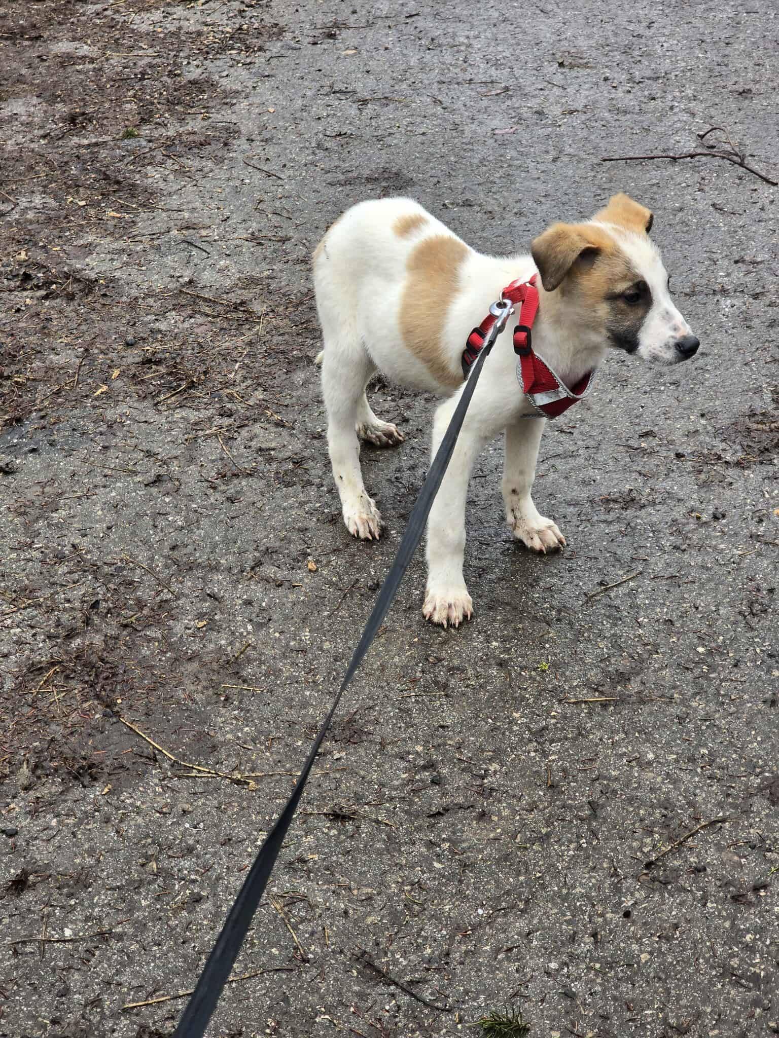 Artie, Bild 21