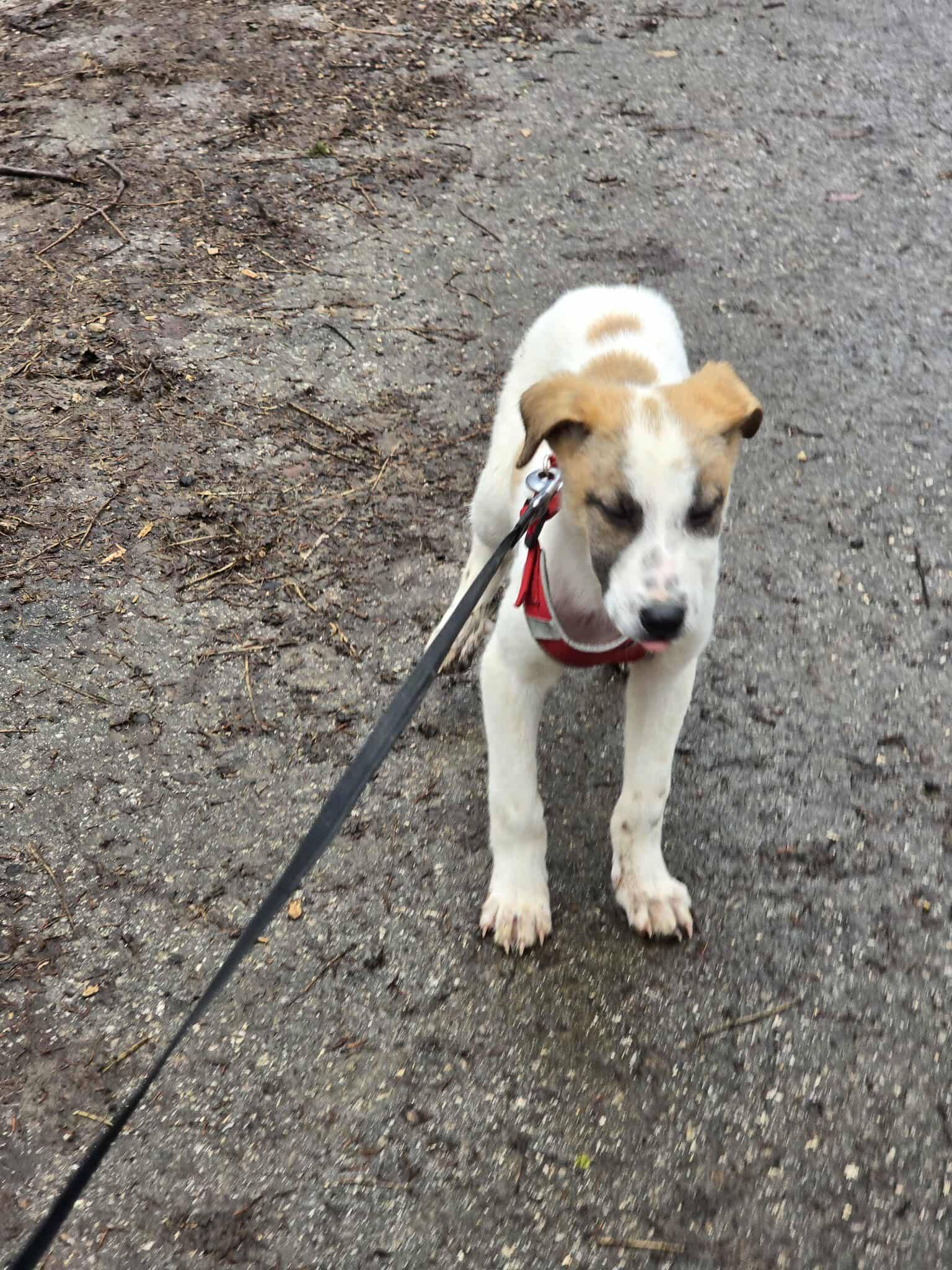 Artie, Bild 23