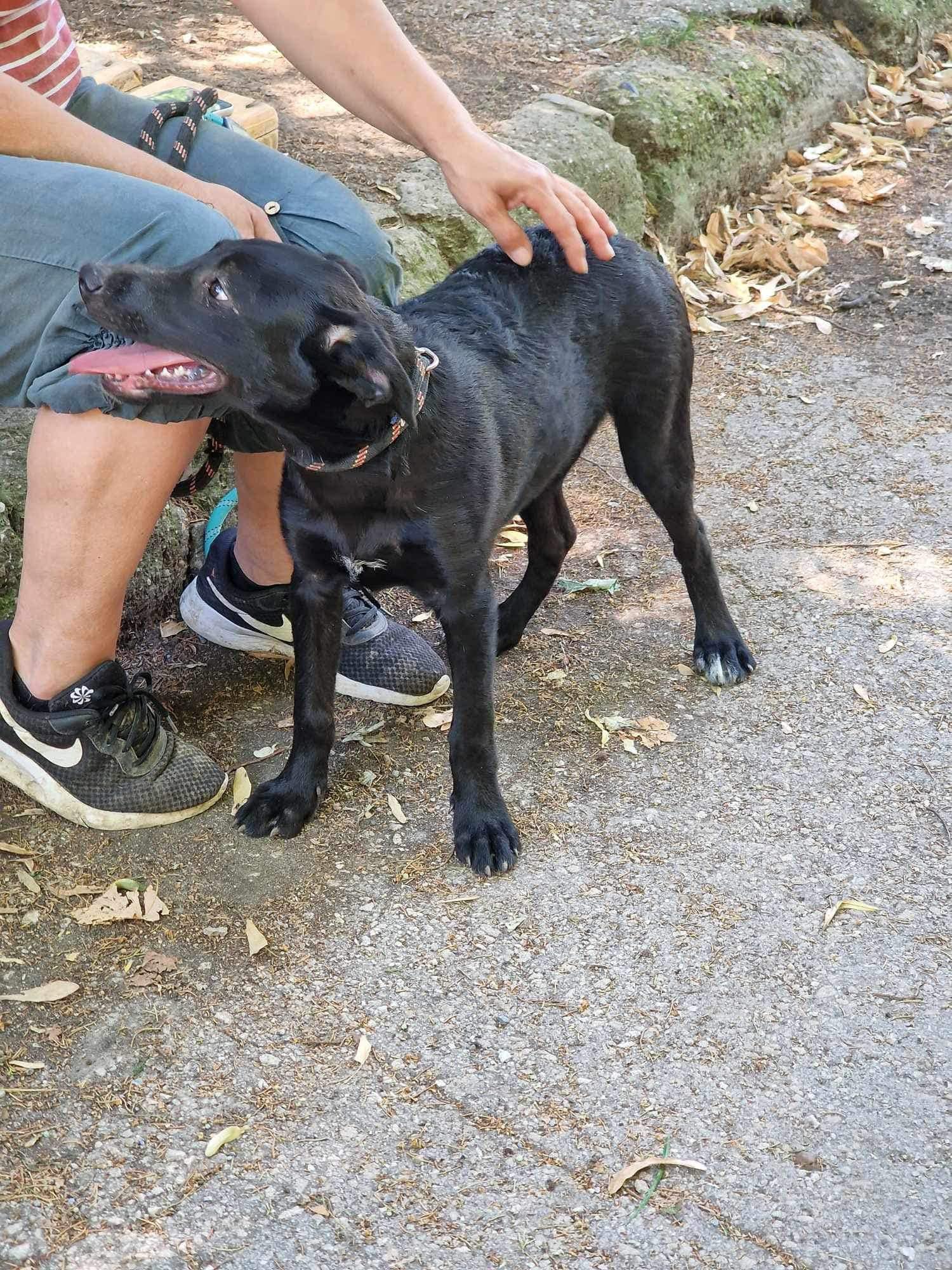 Asriel, Bild 12
