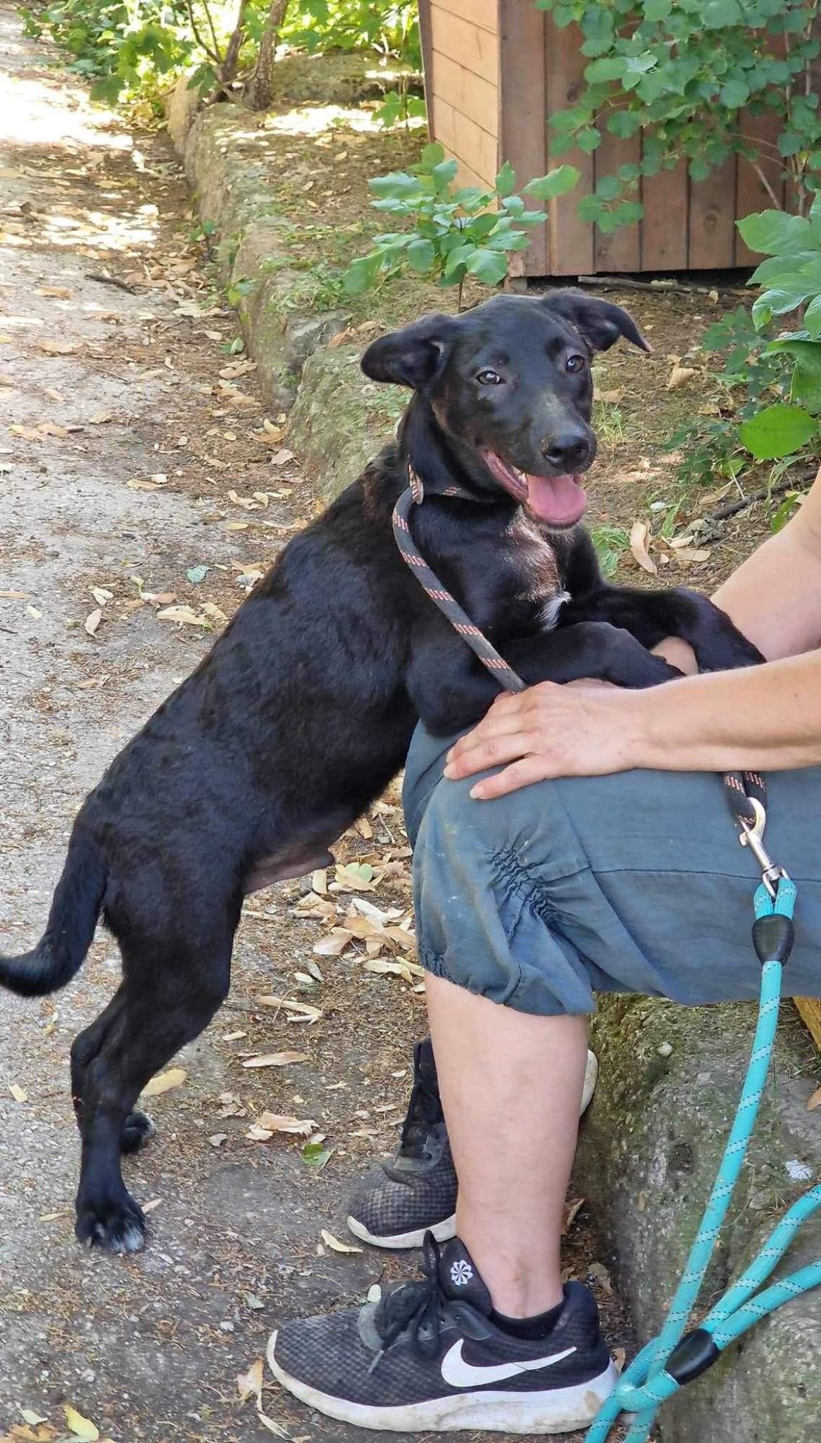 Asriel, Bild 14