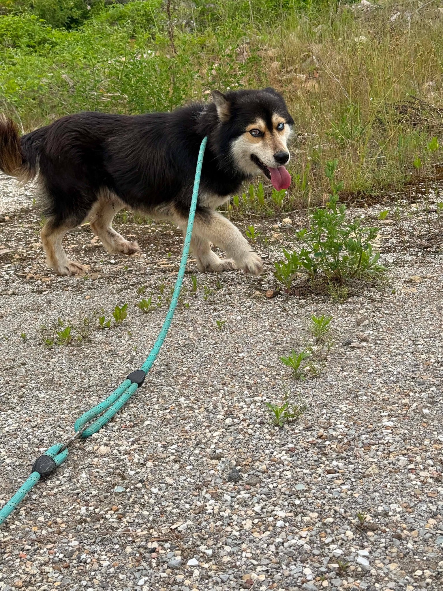Bo, Bild 10