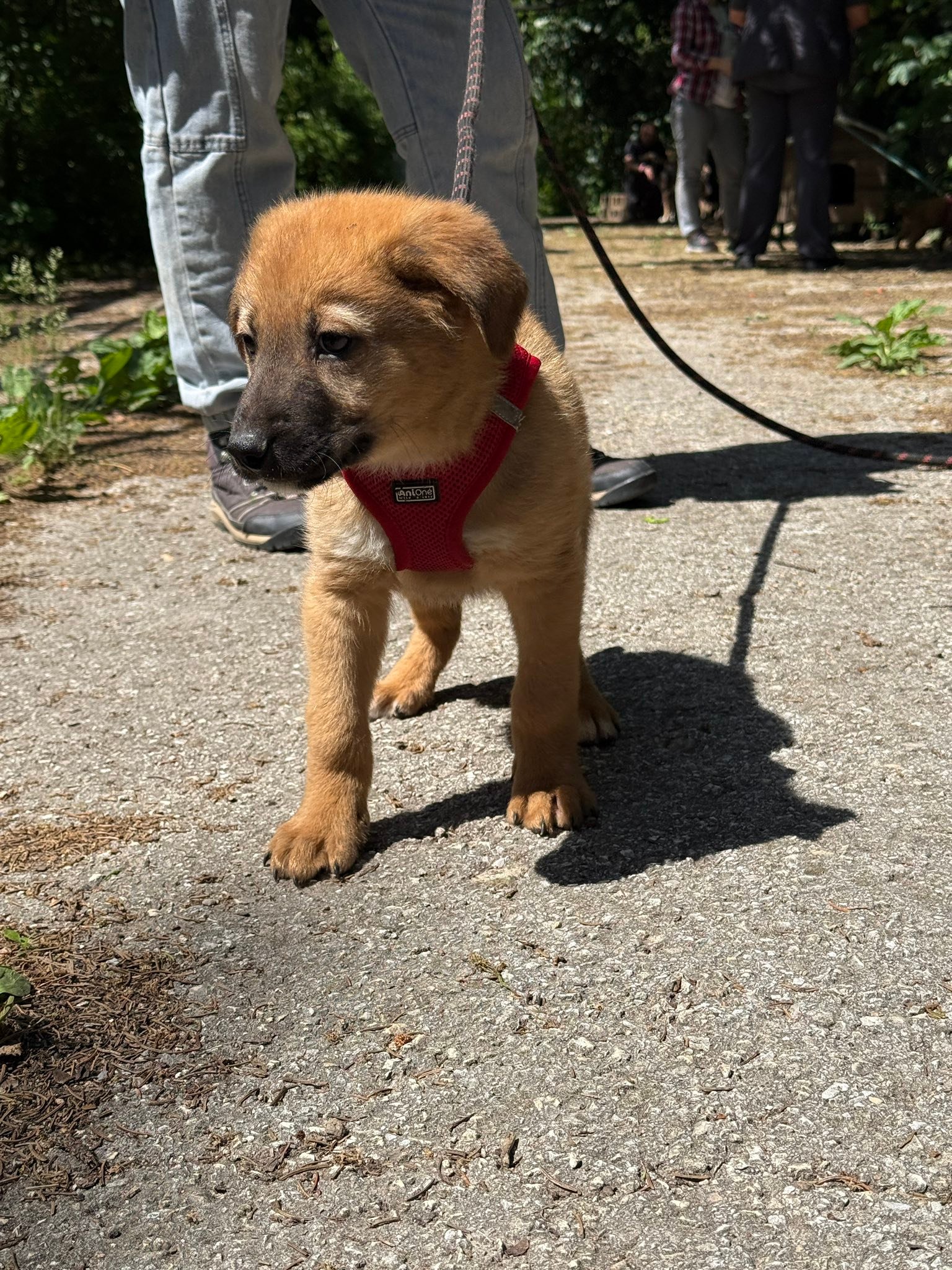 Bruno, Bild 2