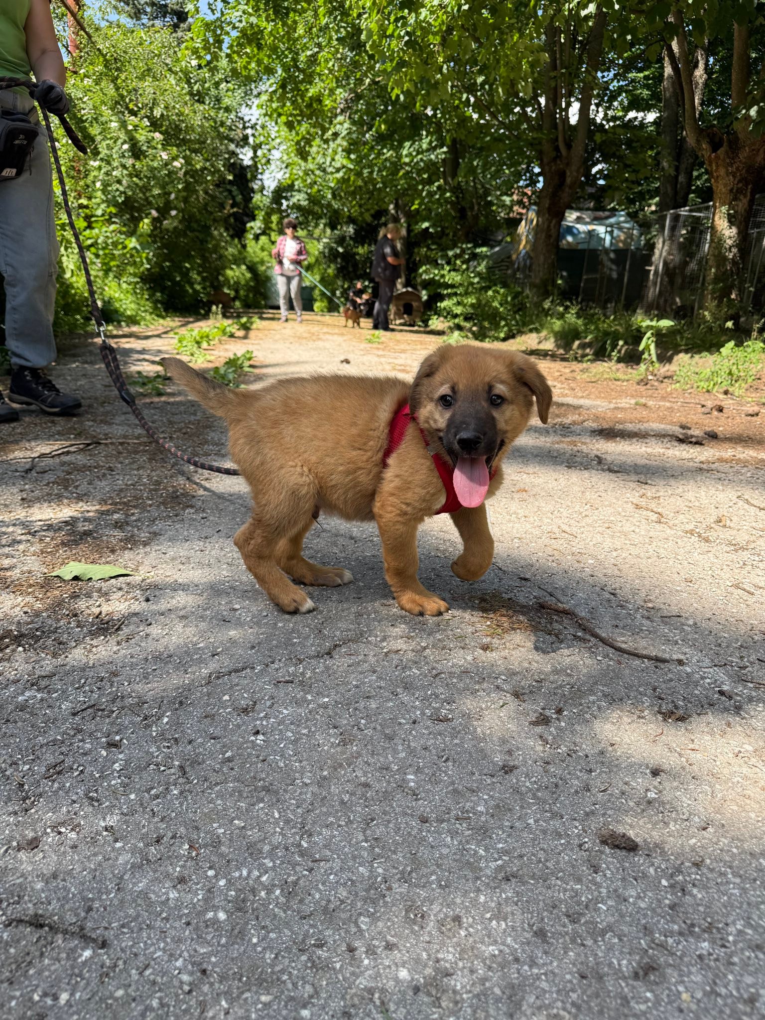 Bruno, Bild 3