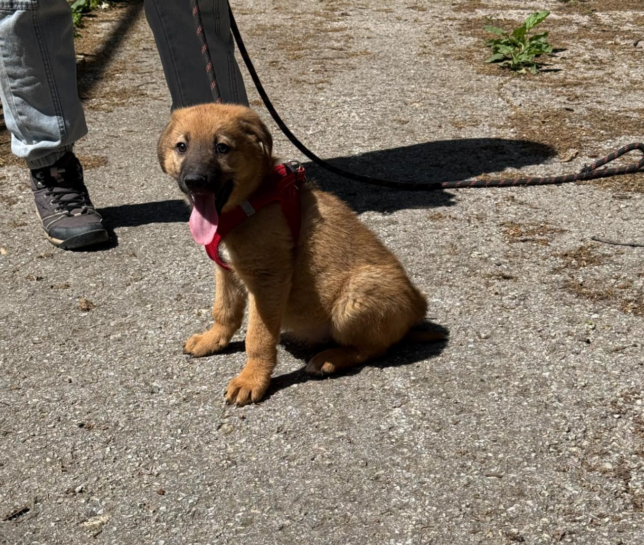 Bruno, Bild 4