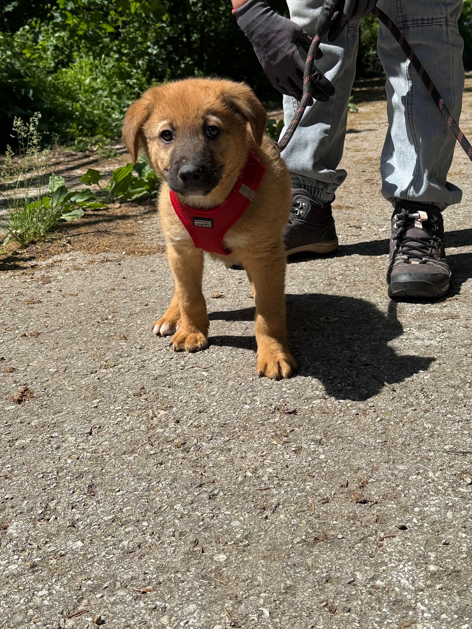 Bruno, Bild 5