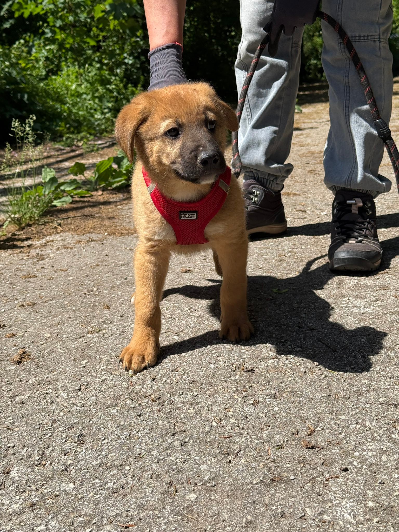 Bruno, Bild 6
