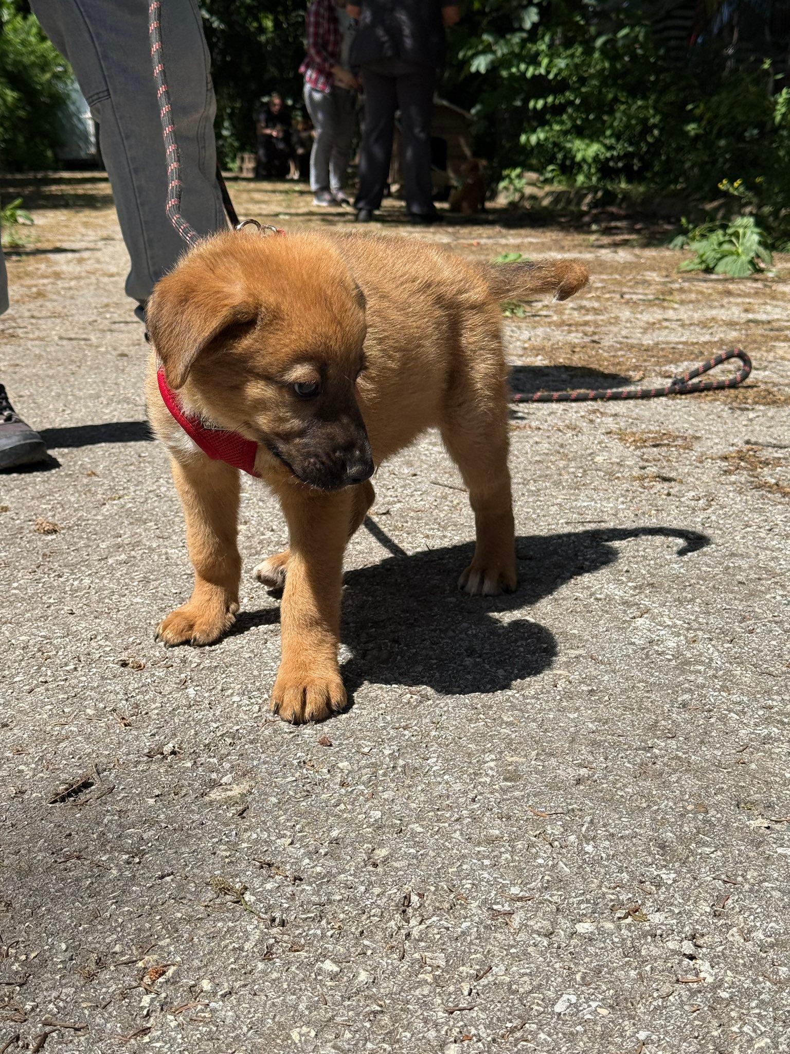 Bruno, Bild 9