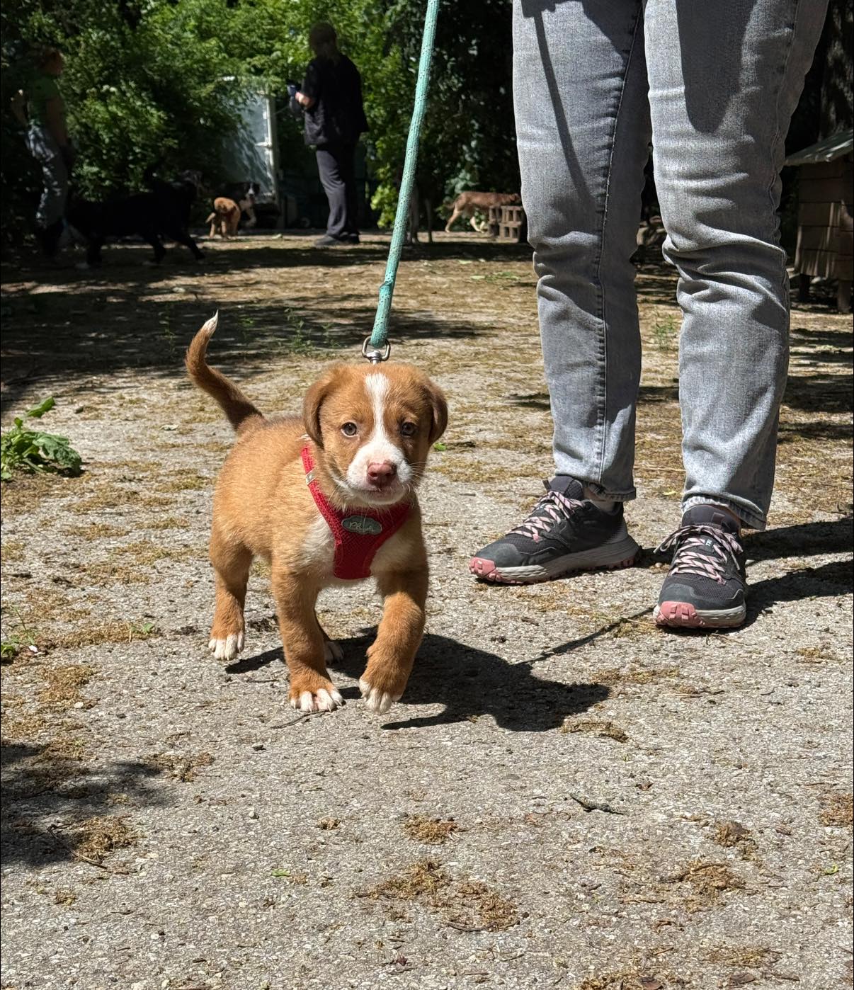 Charlie, Bild 2