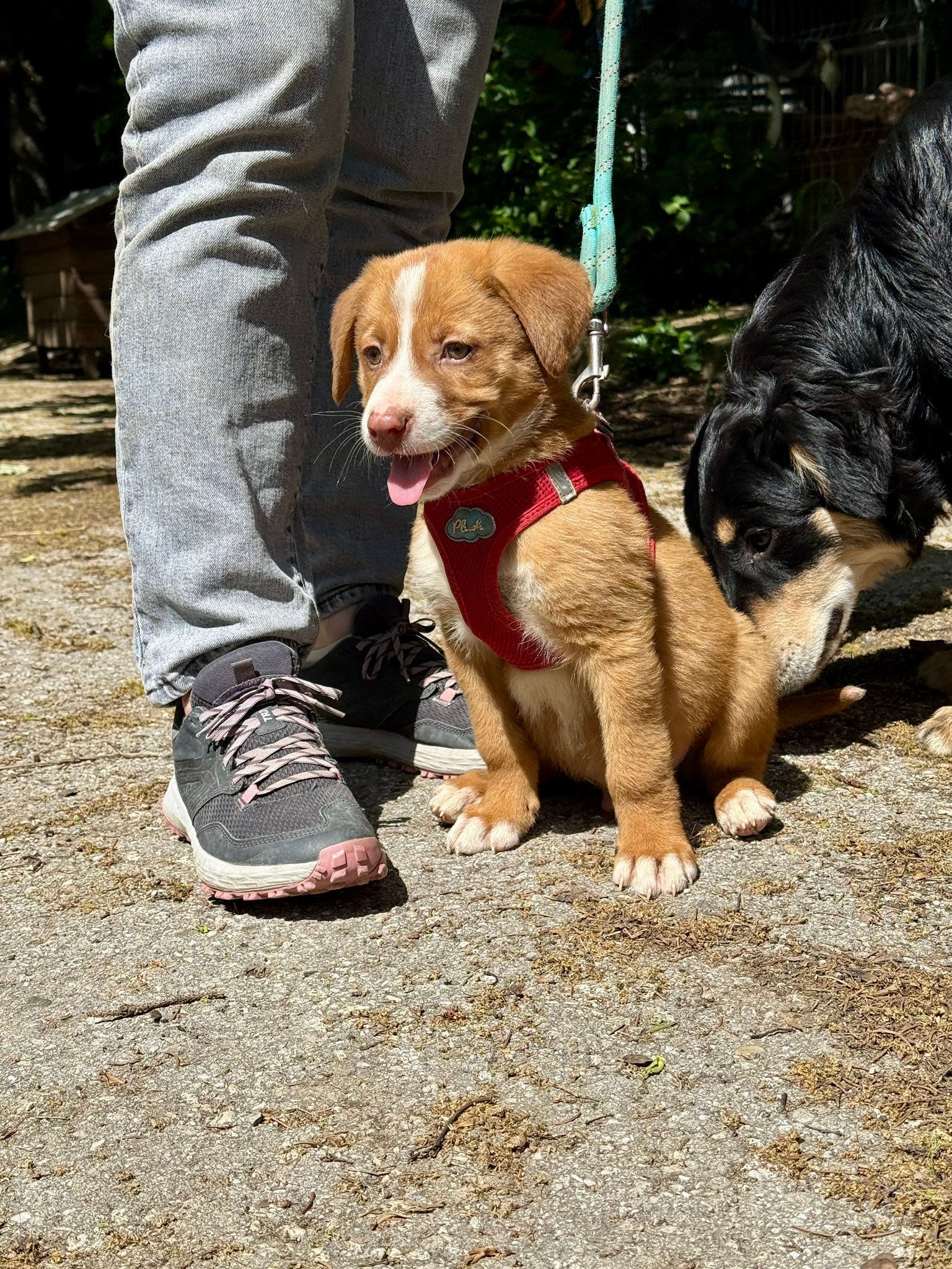 Charlie, Bild 4