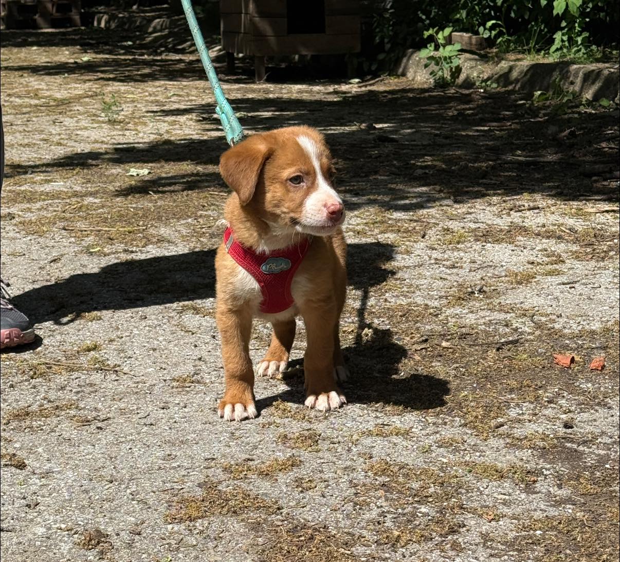 Charlie, Bild 6