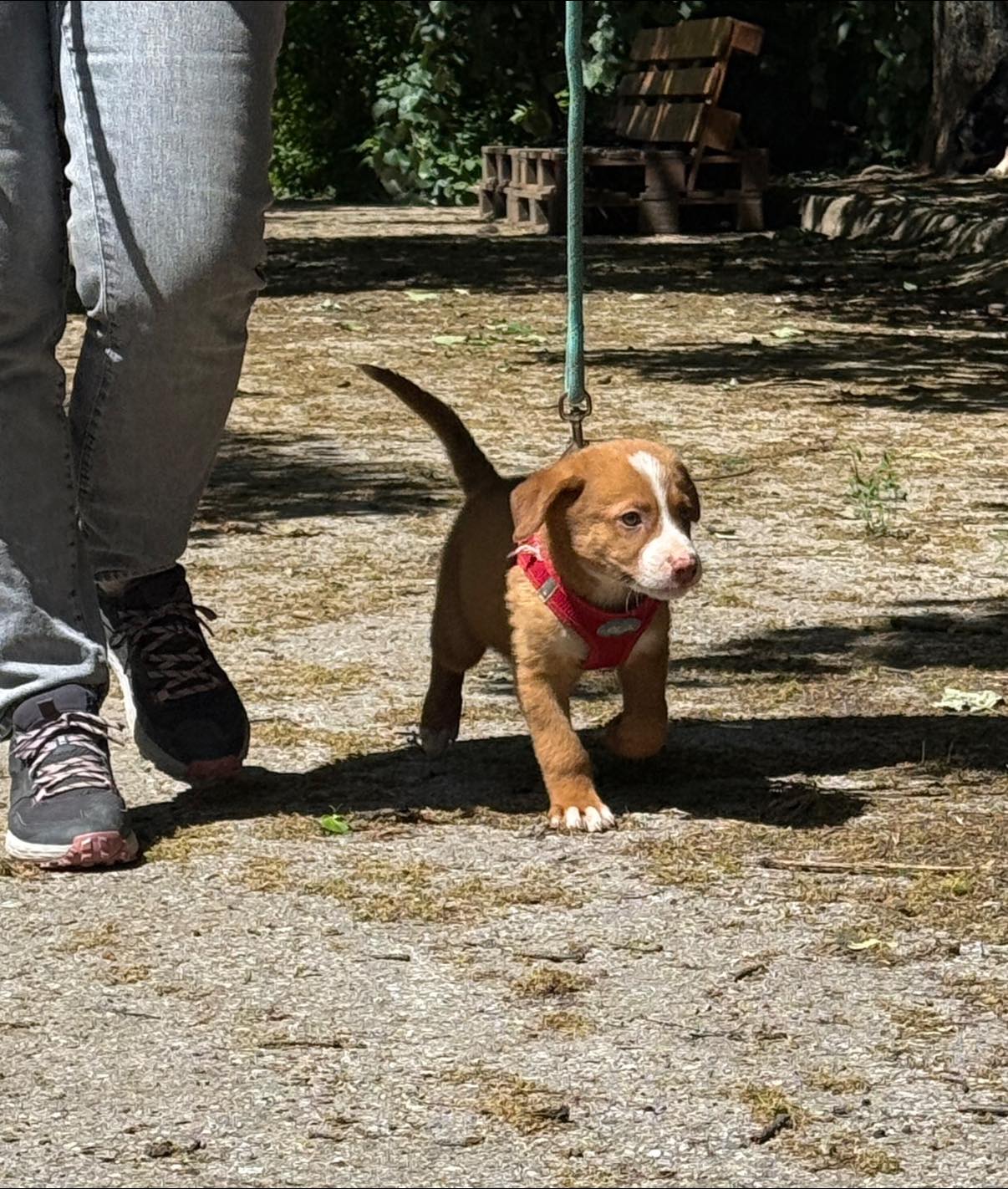 Charlie, Bild 7