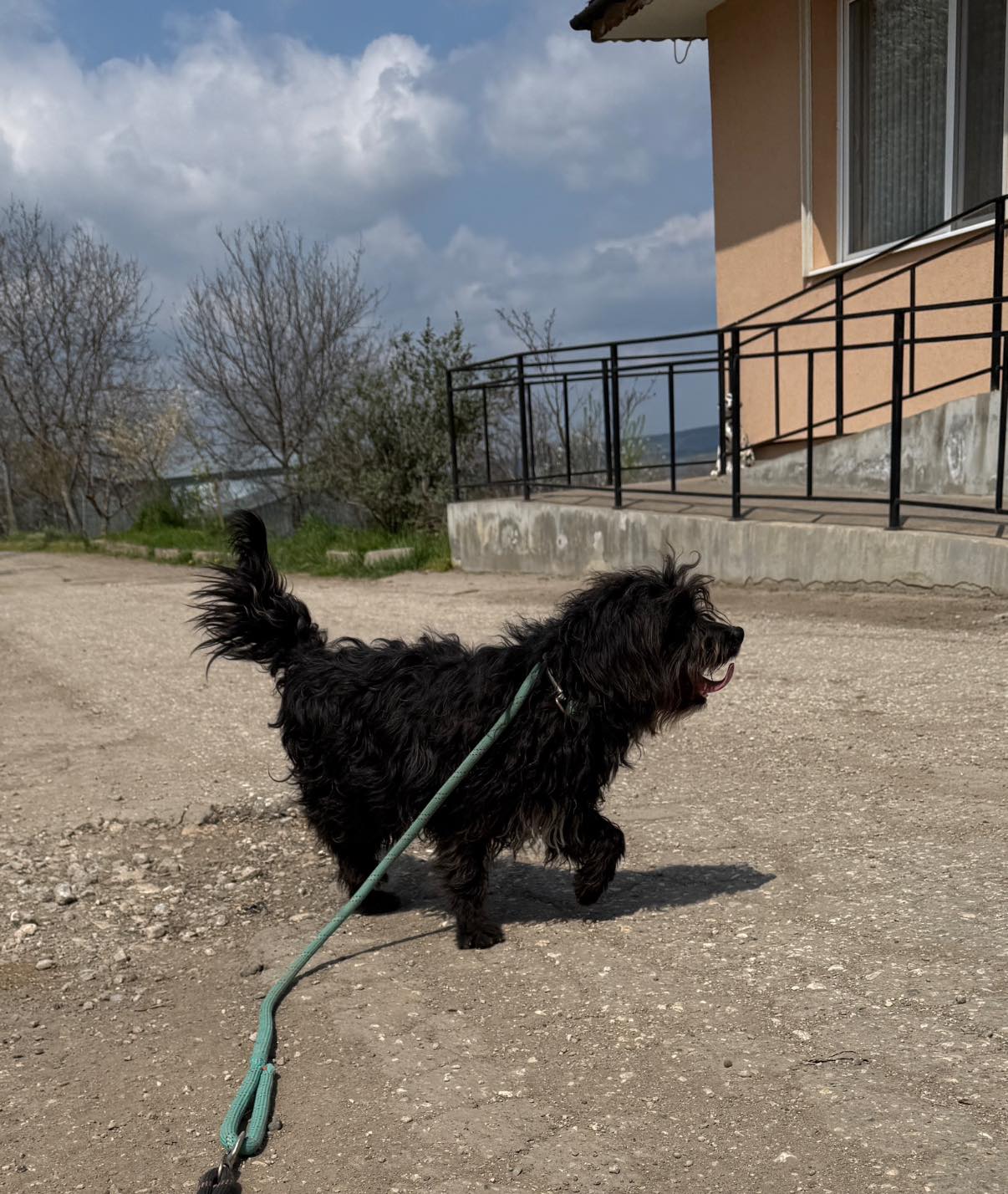 Chico, Bild 12