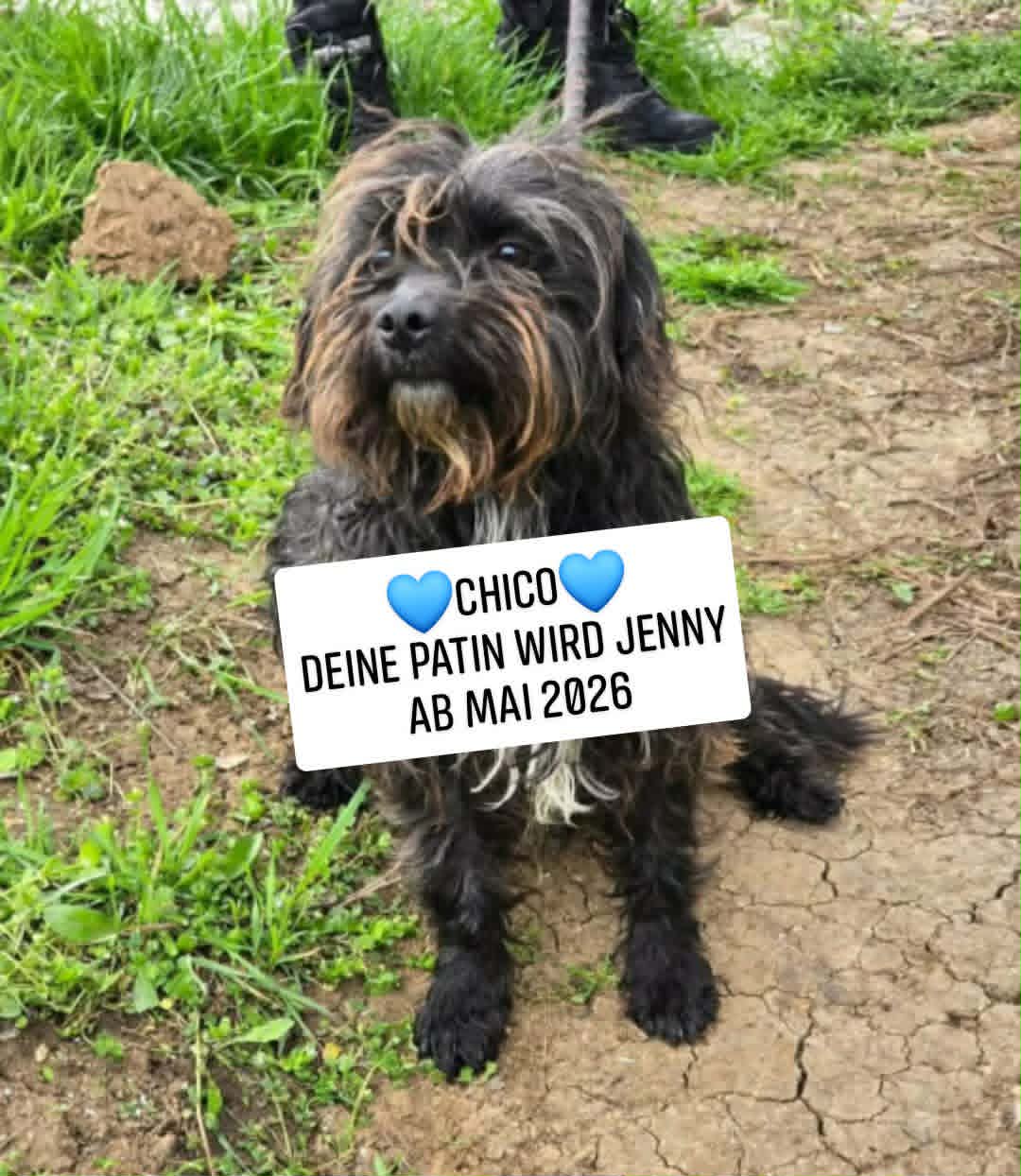Chico, Bild 16