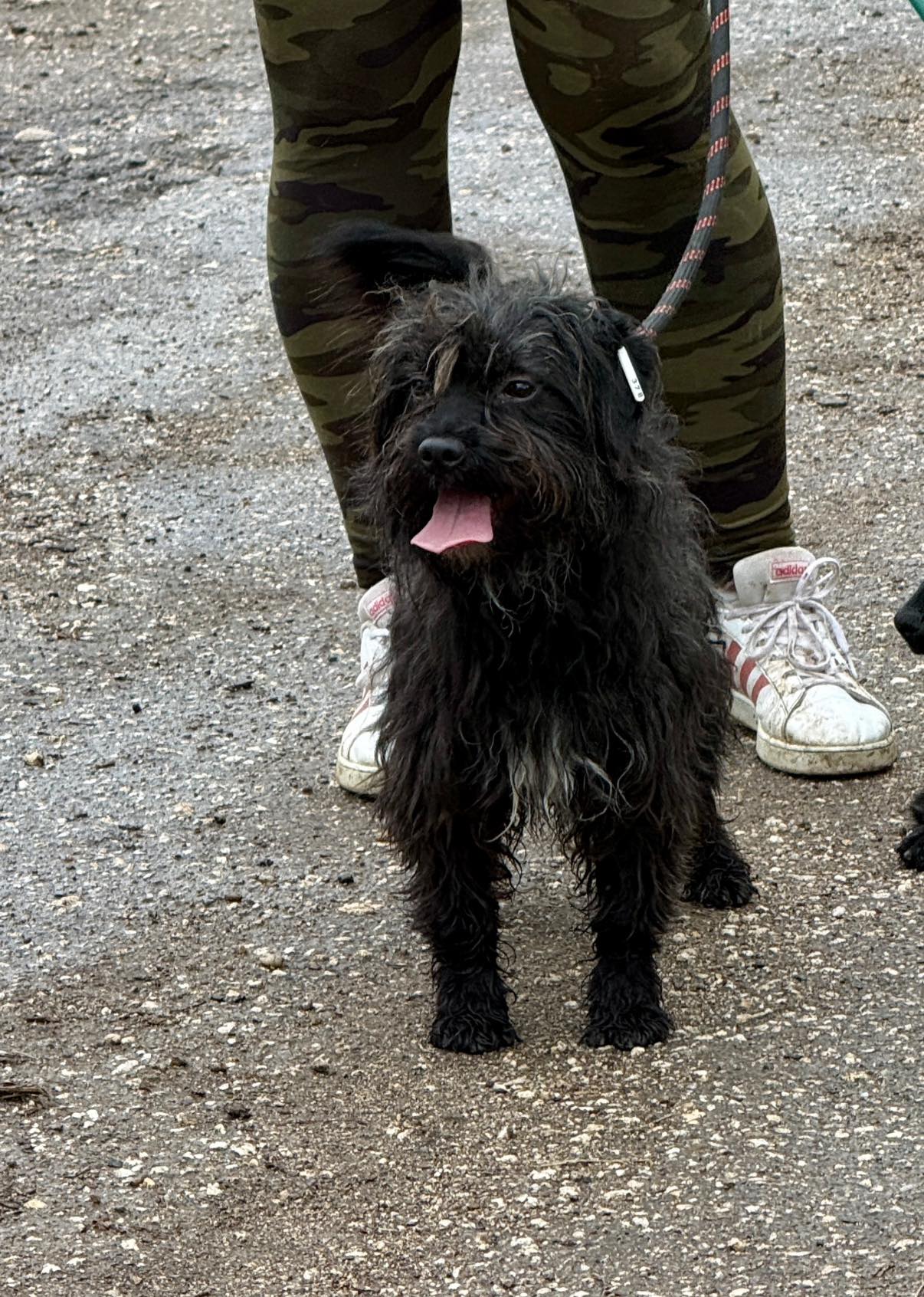 Chico, Bild 3