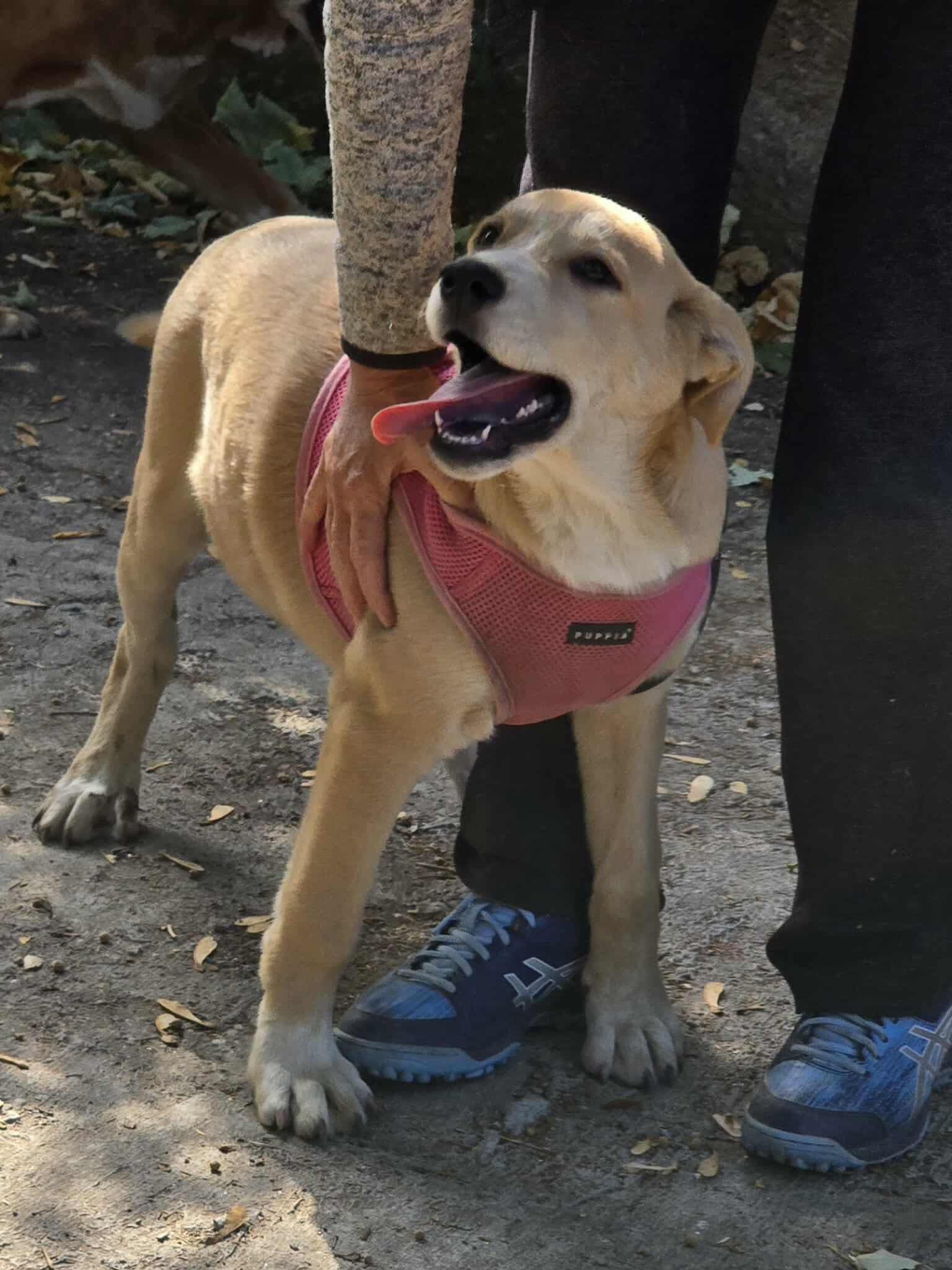 Cooper, Bild 11