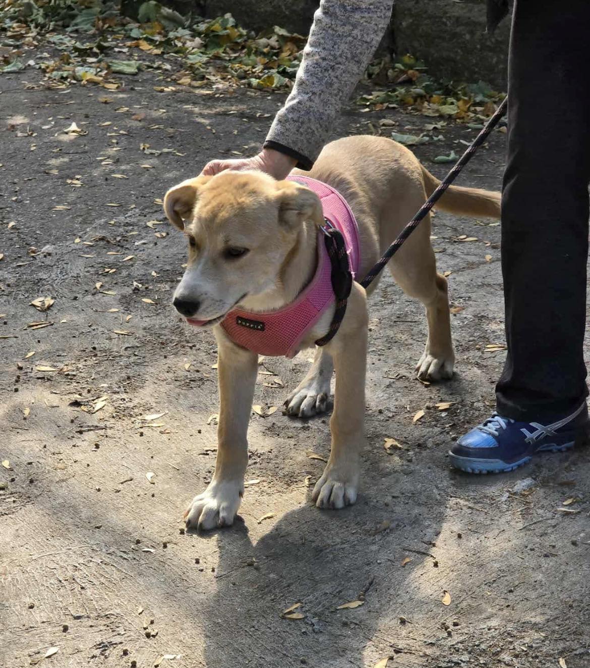 Cooper, Bild 12