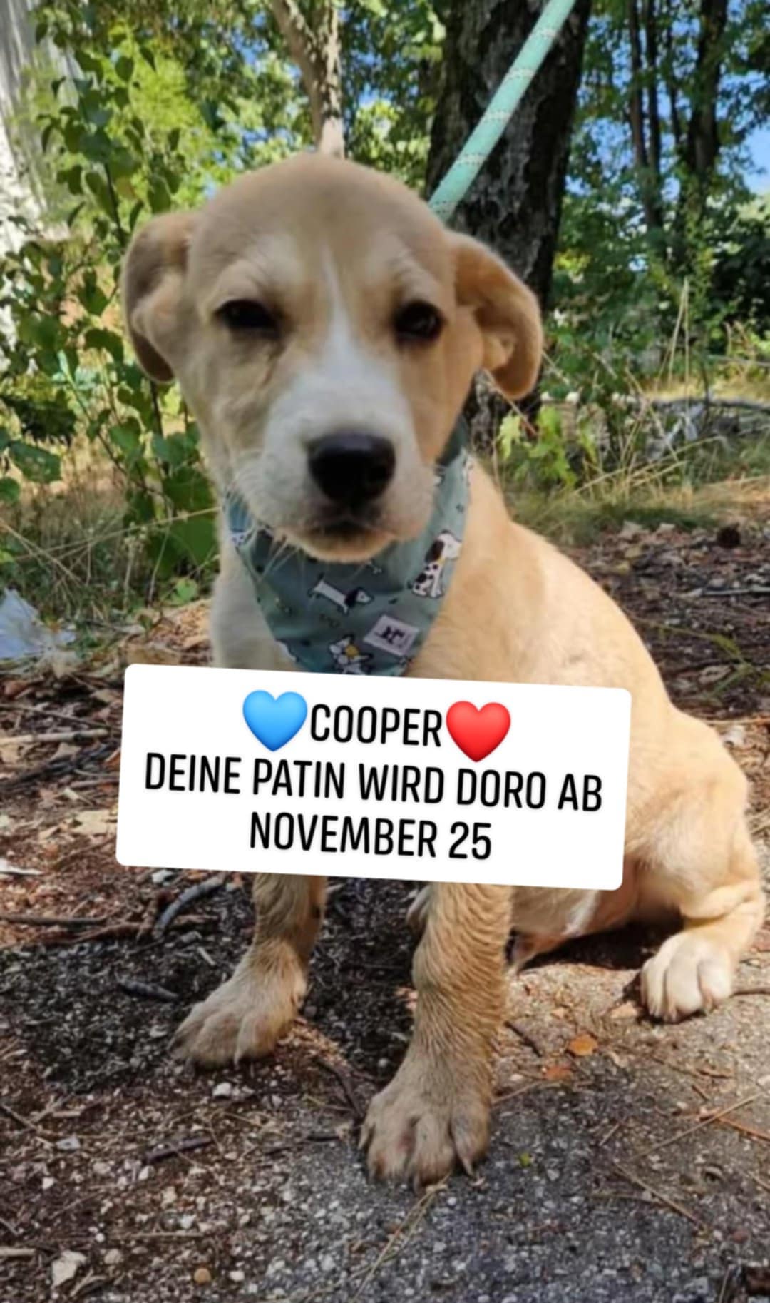 Cooper, Bild 13