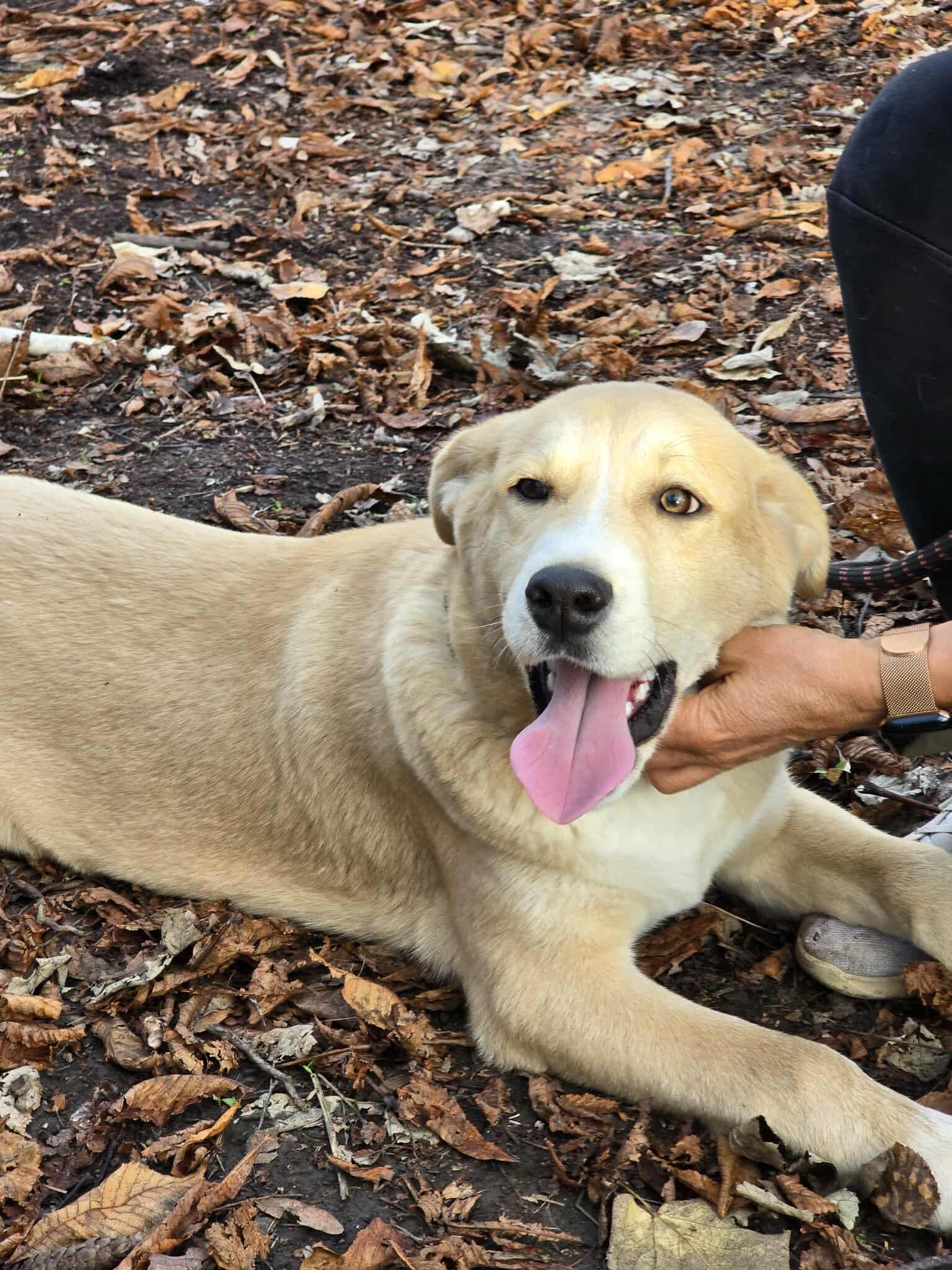 Cooper, Bild 14