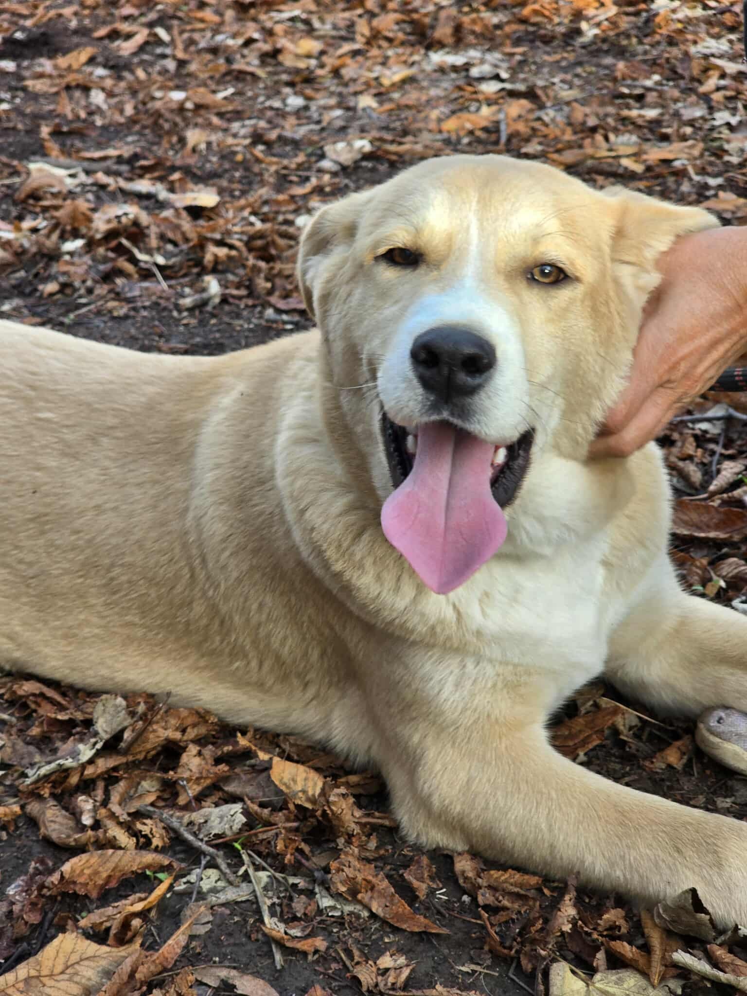 Cooper, Bild 15