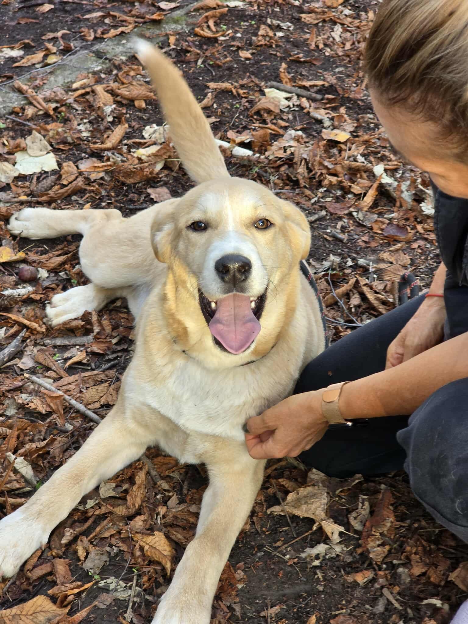 Cooper, Bild 18