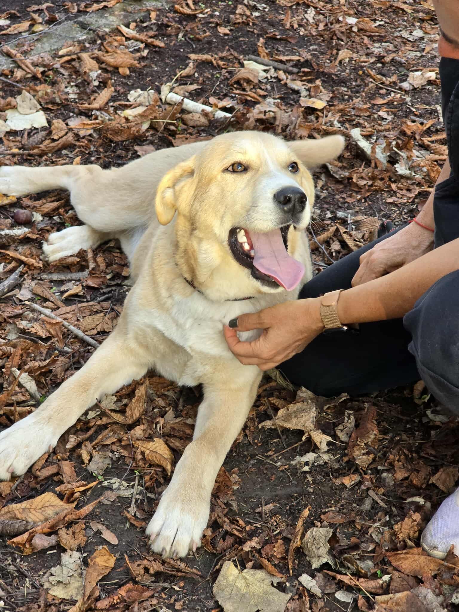 Cooper, Bild 20
