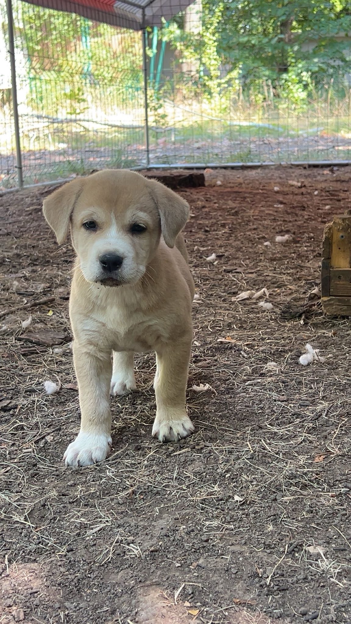 Cooper, Bild 3