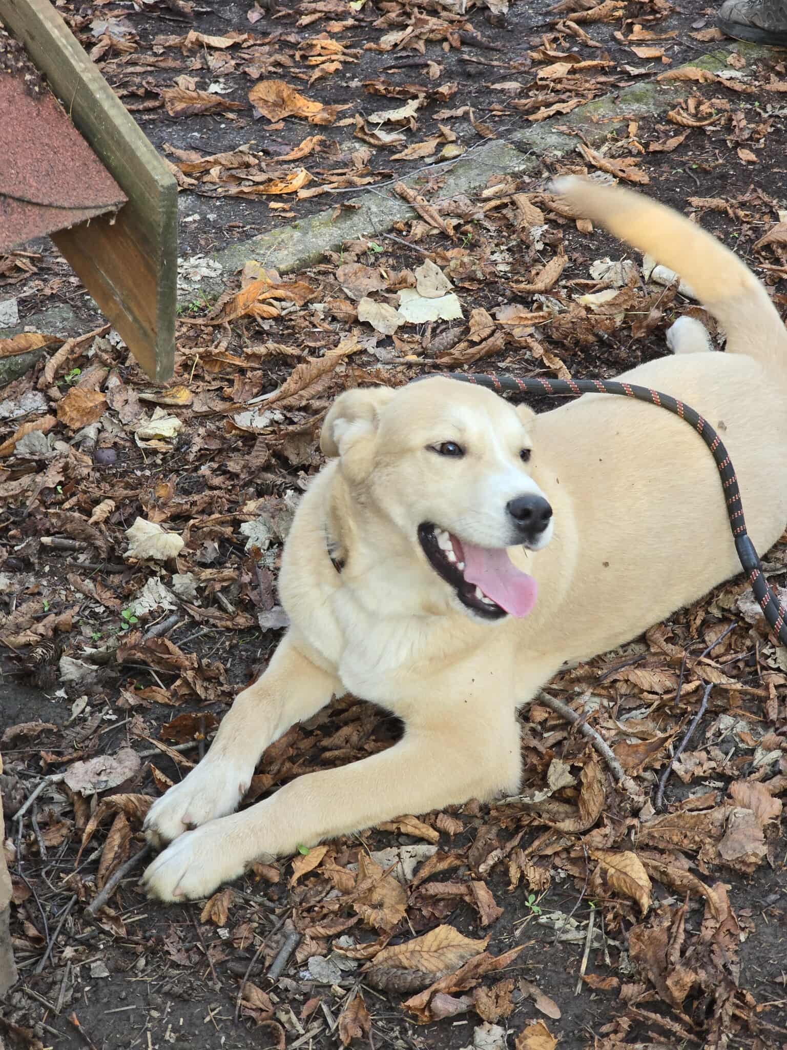 Cooper, Bild 23