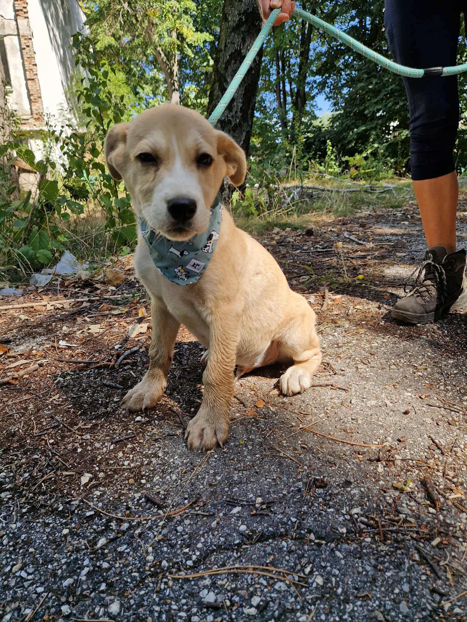 Cooper, Bild 6