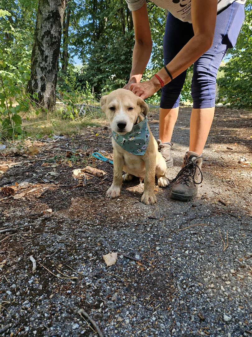 Cooper, Bild 8