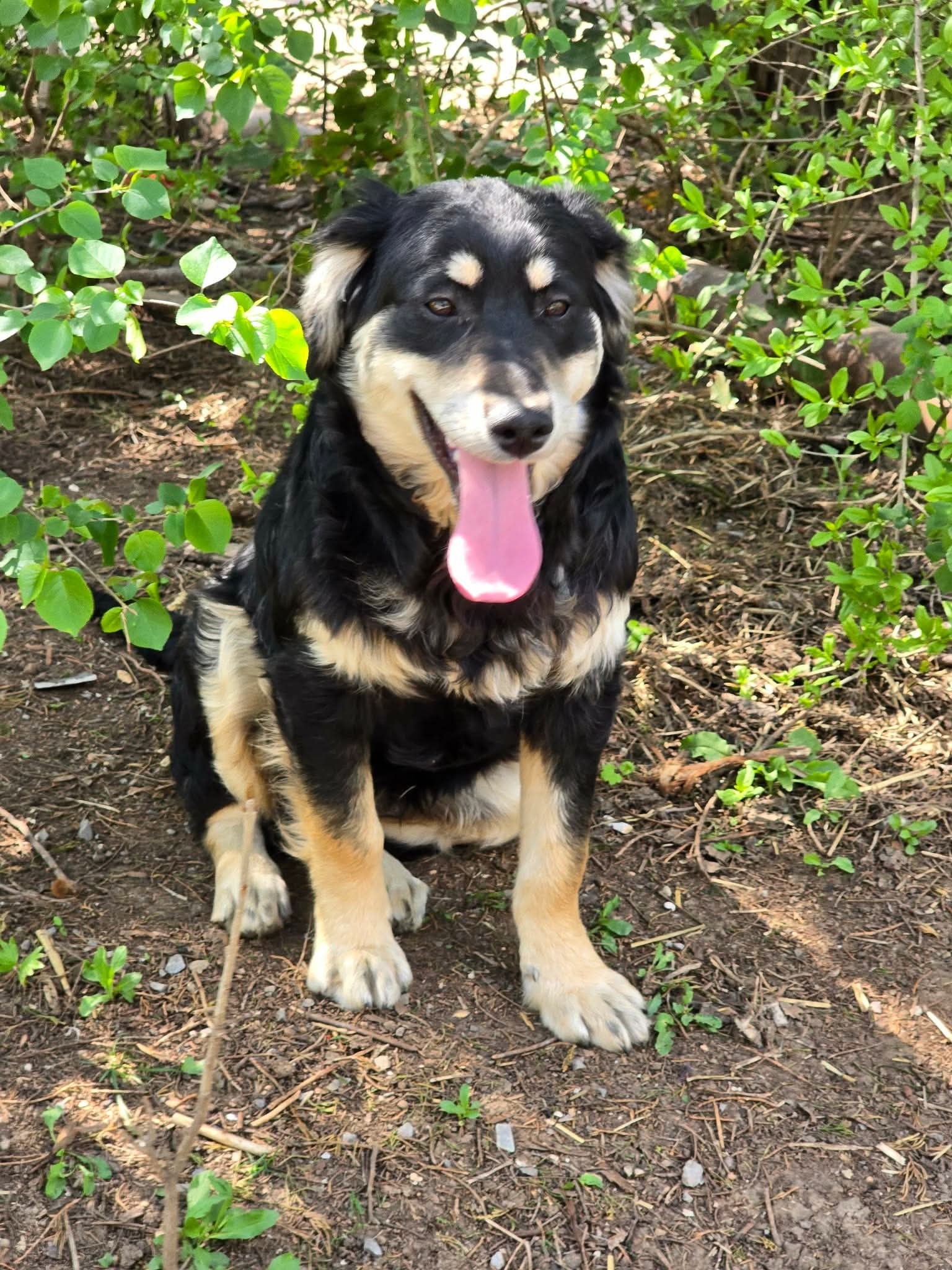 Dusty, Bild 11