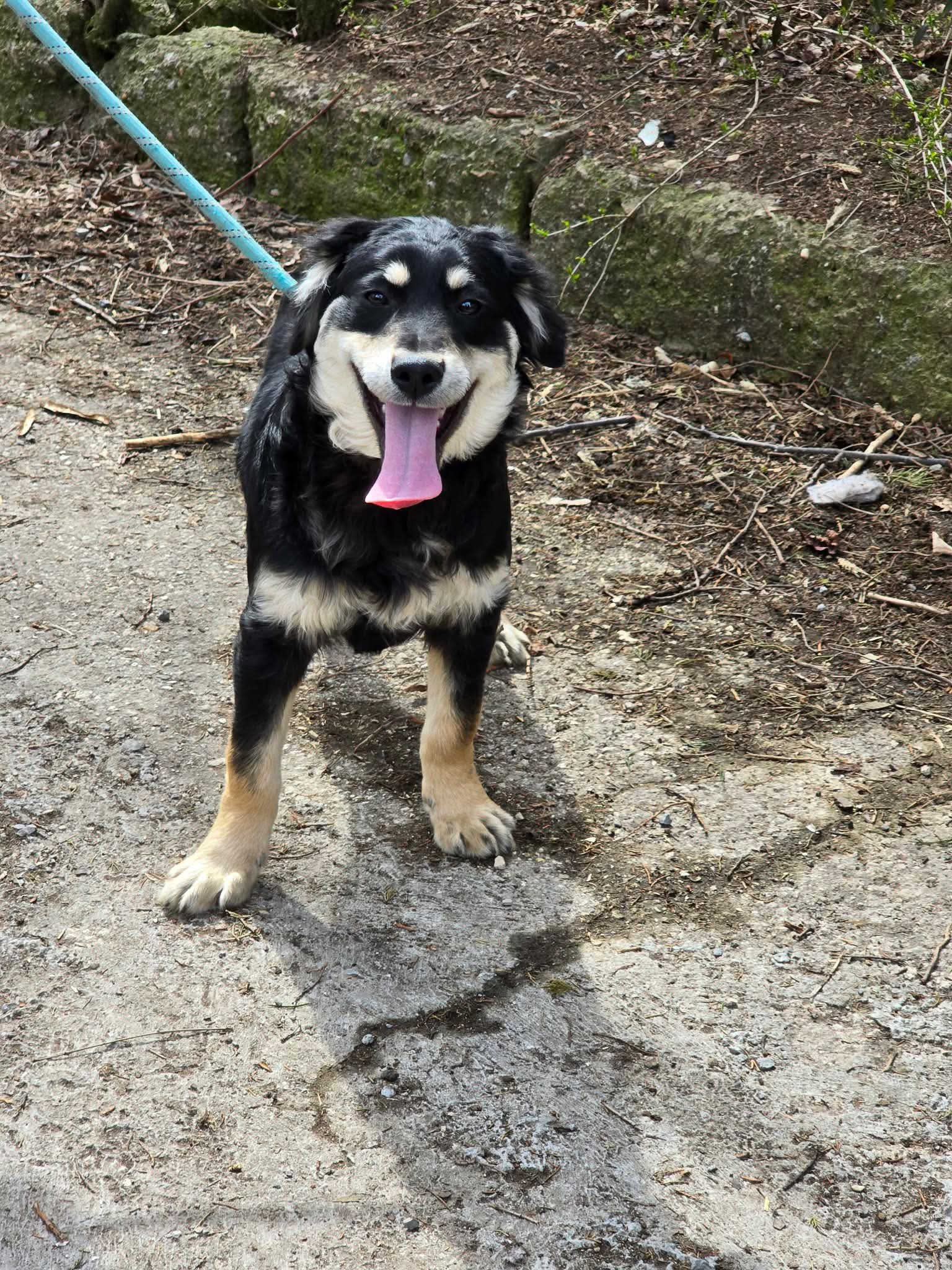 Dusty, Bild 15