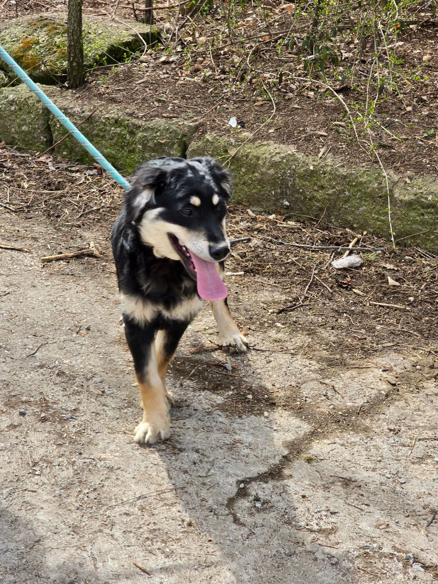 Dusty, Bild 16