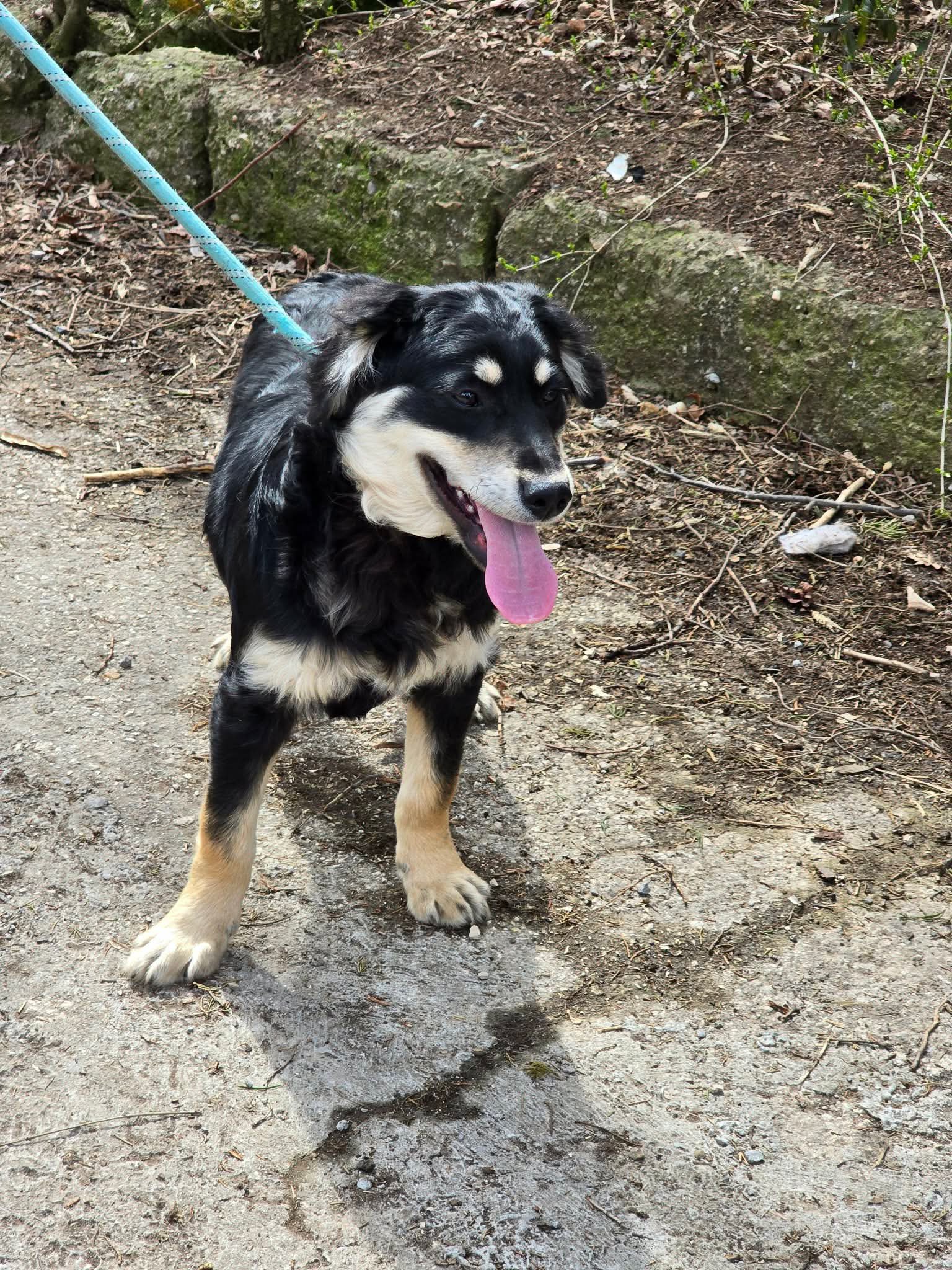 Dusty, Bild 17