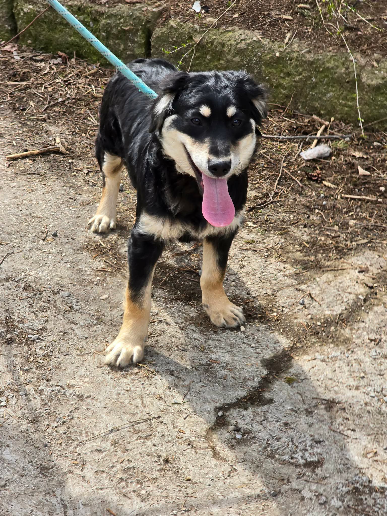 Dusty, Bild 18