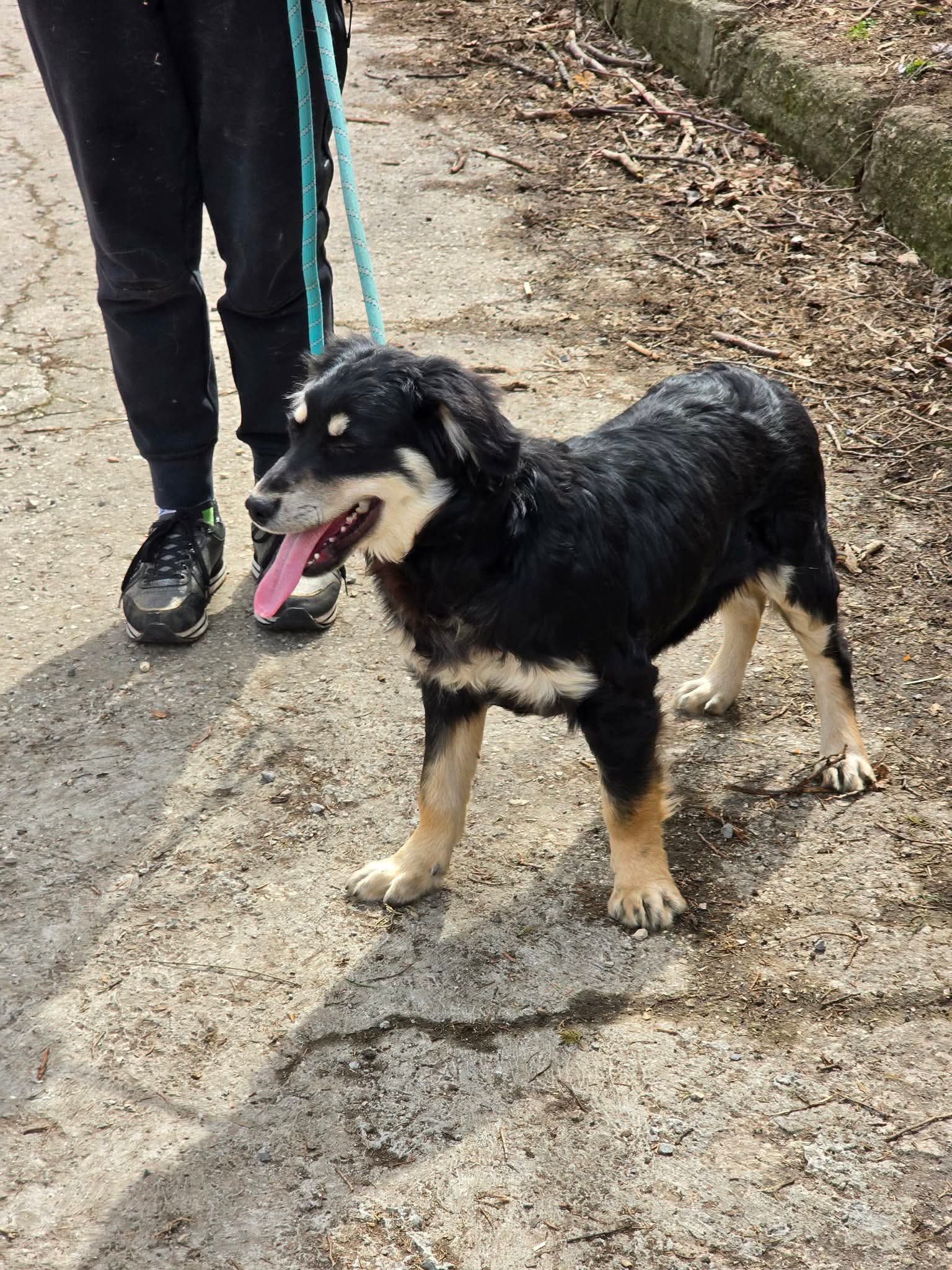 Dusty, Bild 19