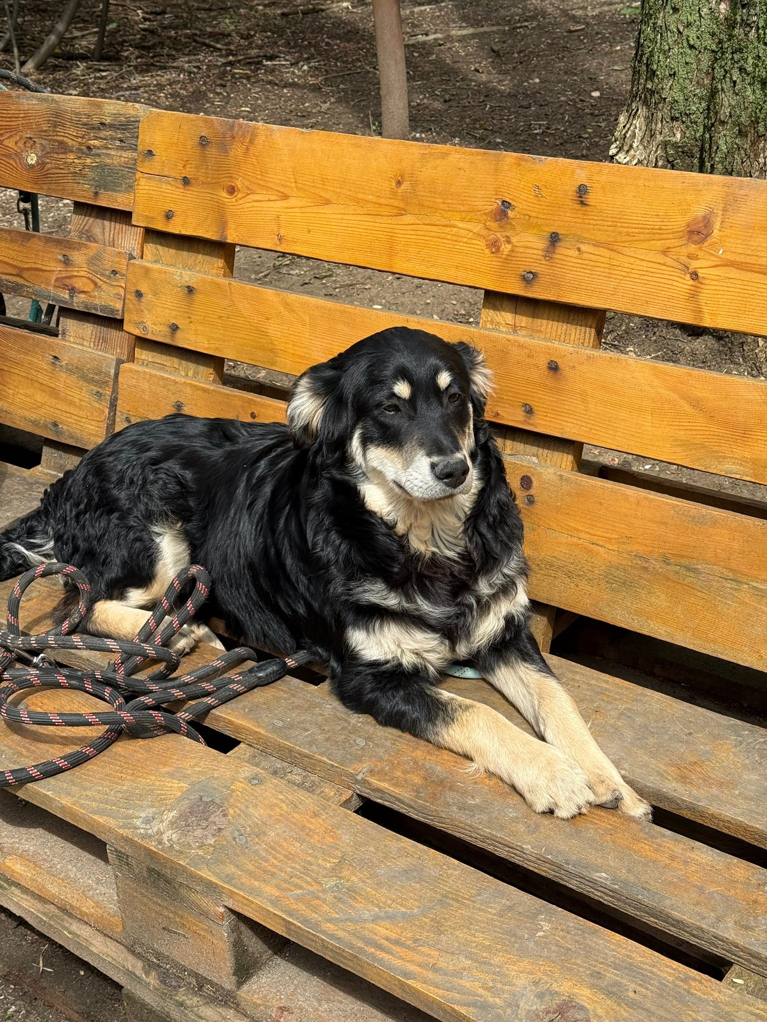 Dusty, Bild 9