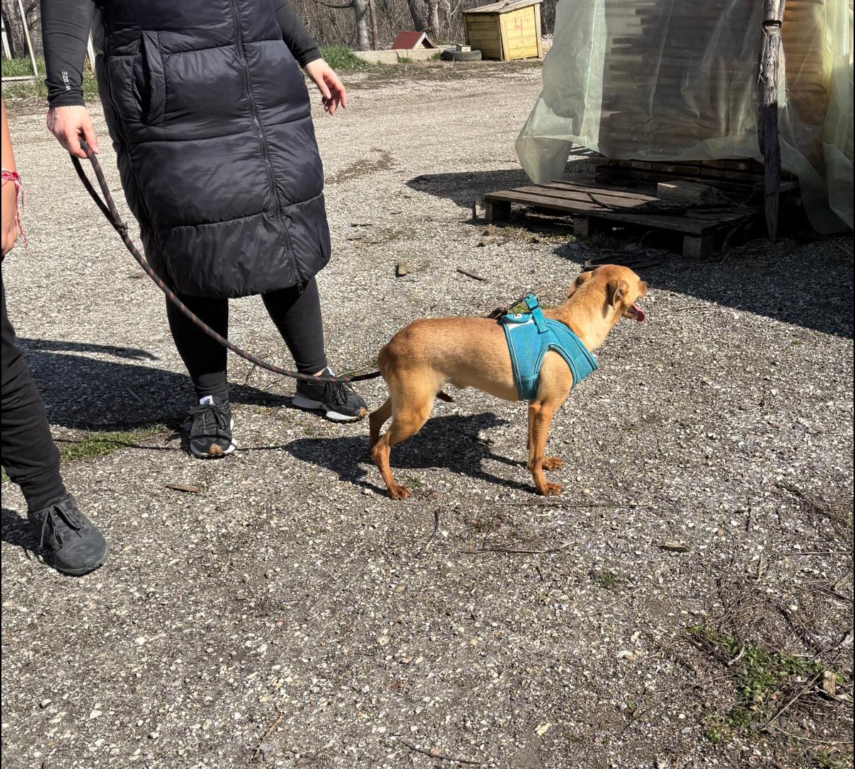 Eddie, Bild 15