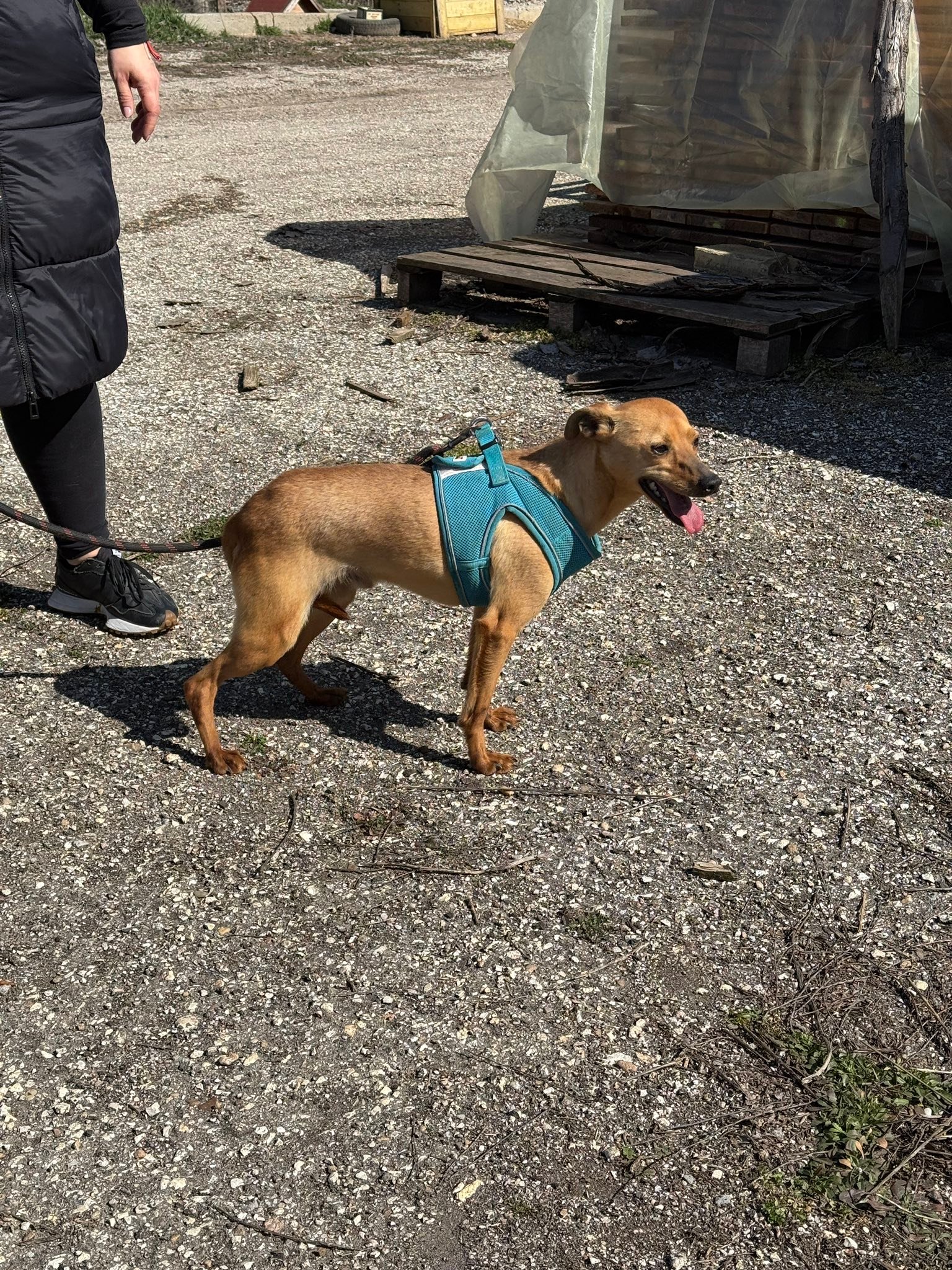 Eddie, Bild 18