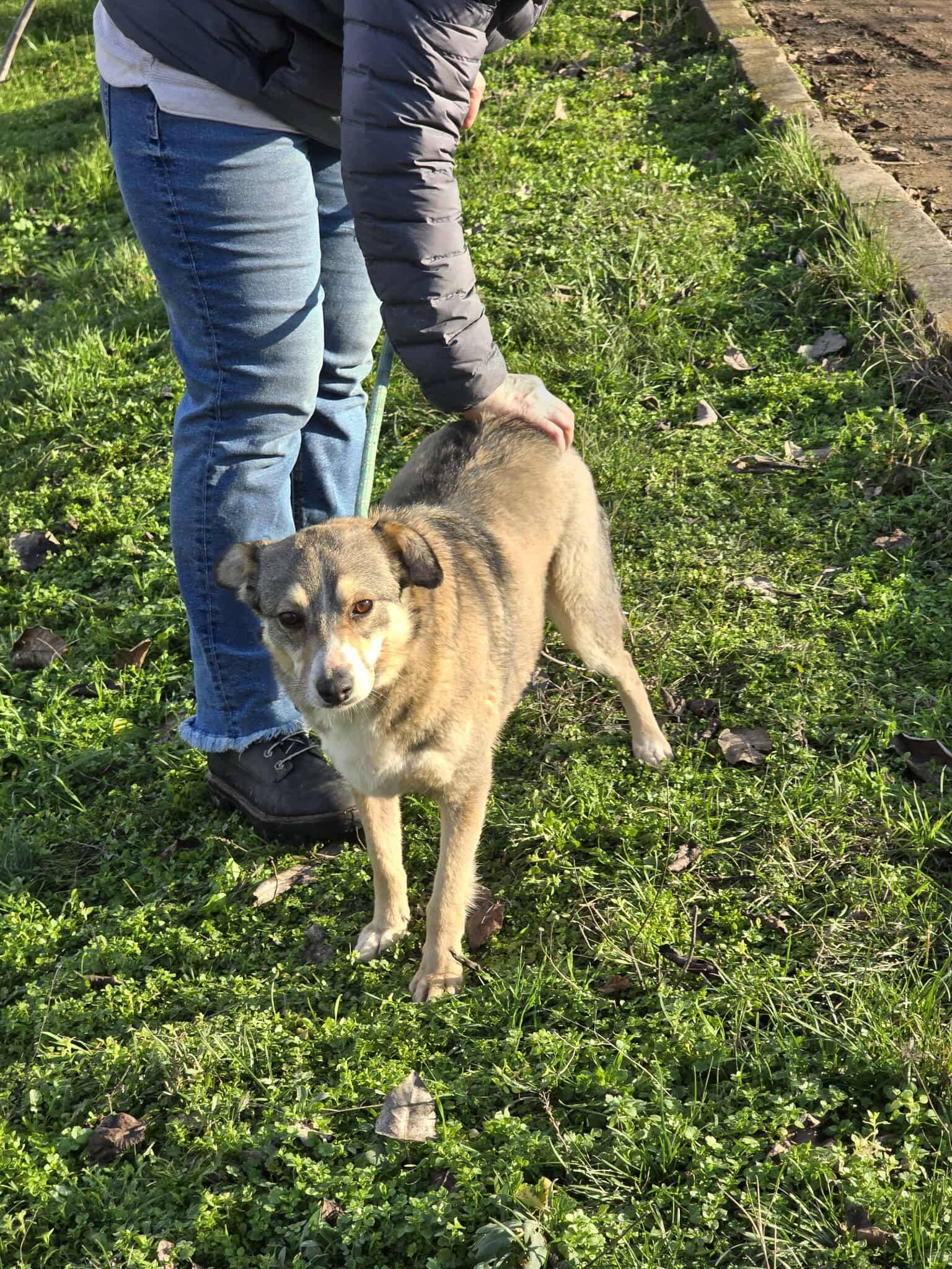 Elisia, Bild 19