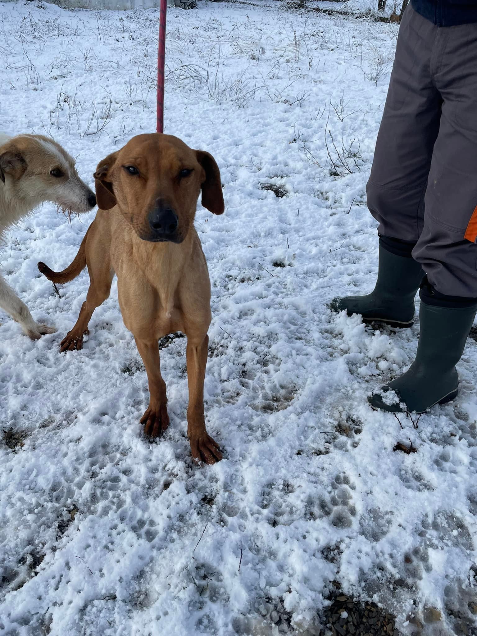 Gabby, Bild 15