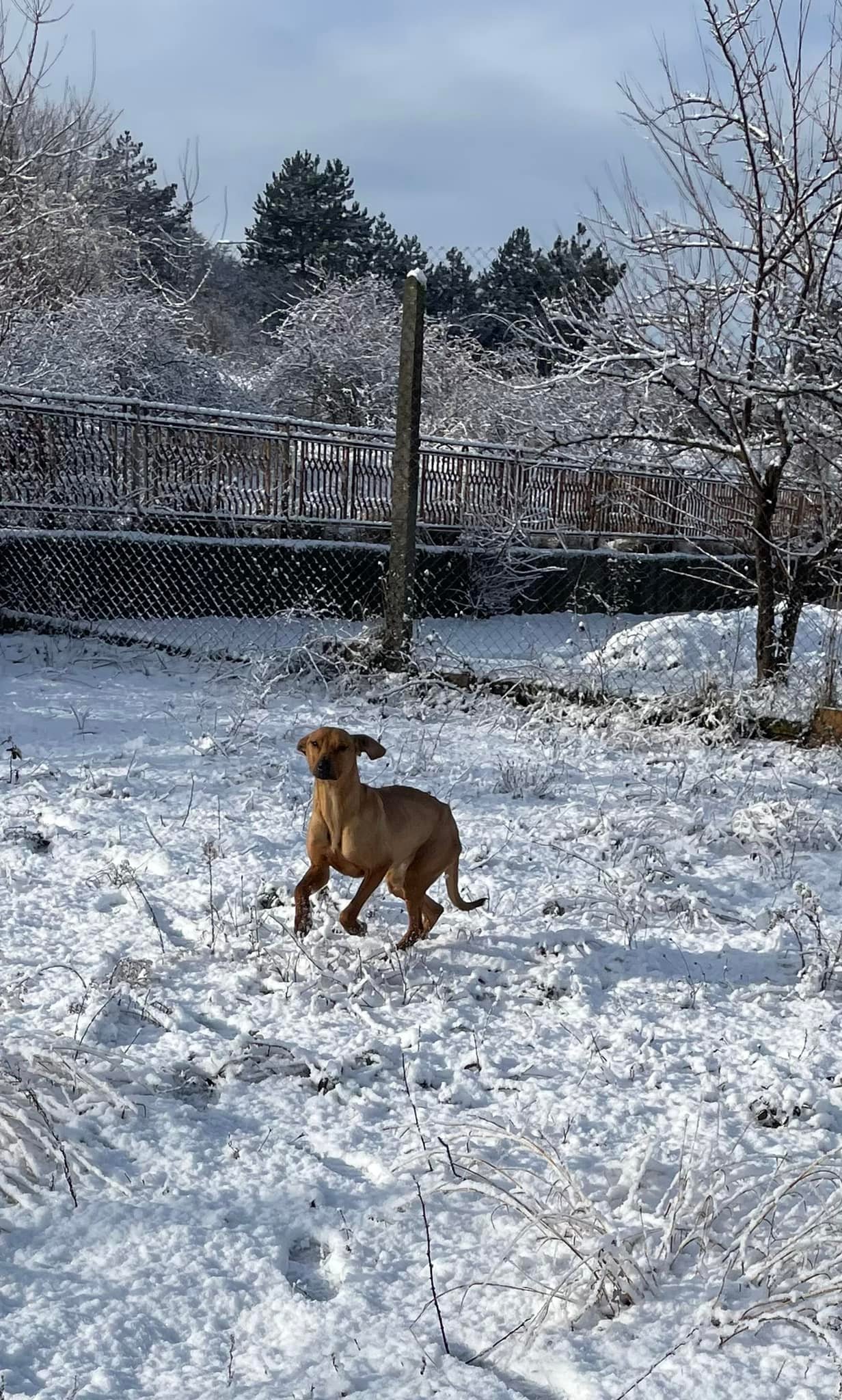 Gabby, Bild 19