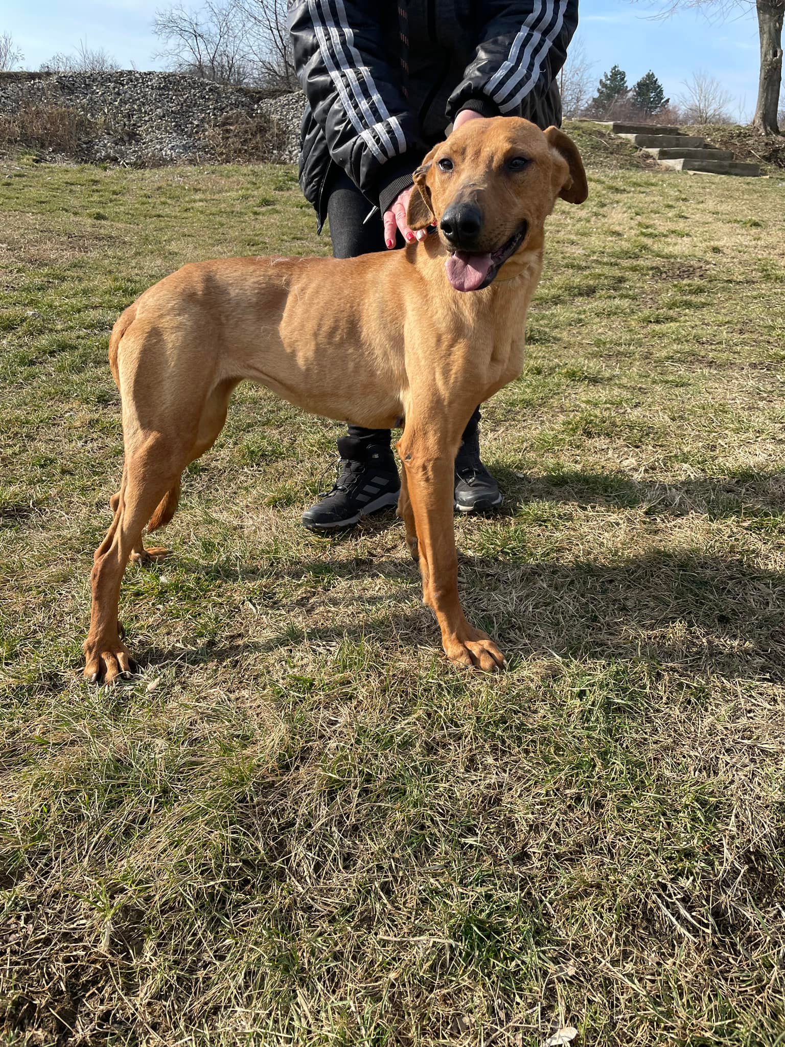 Gabby, Bild 20